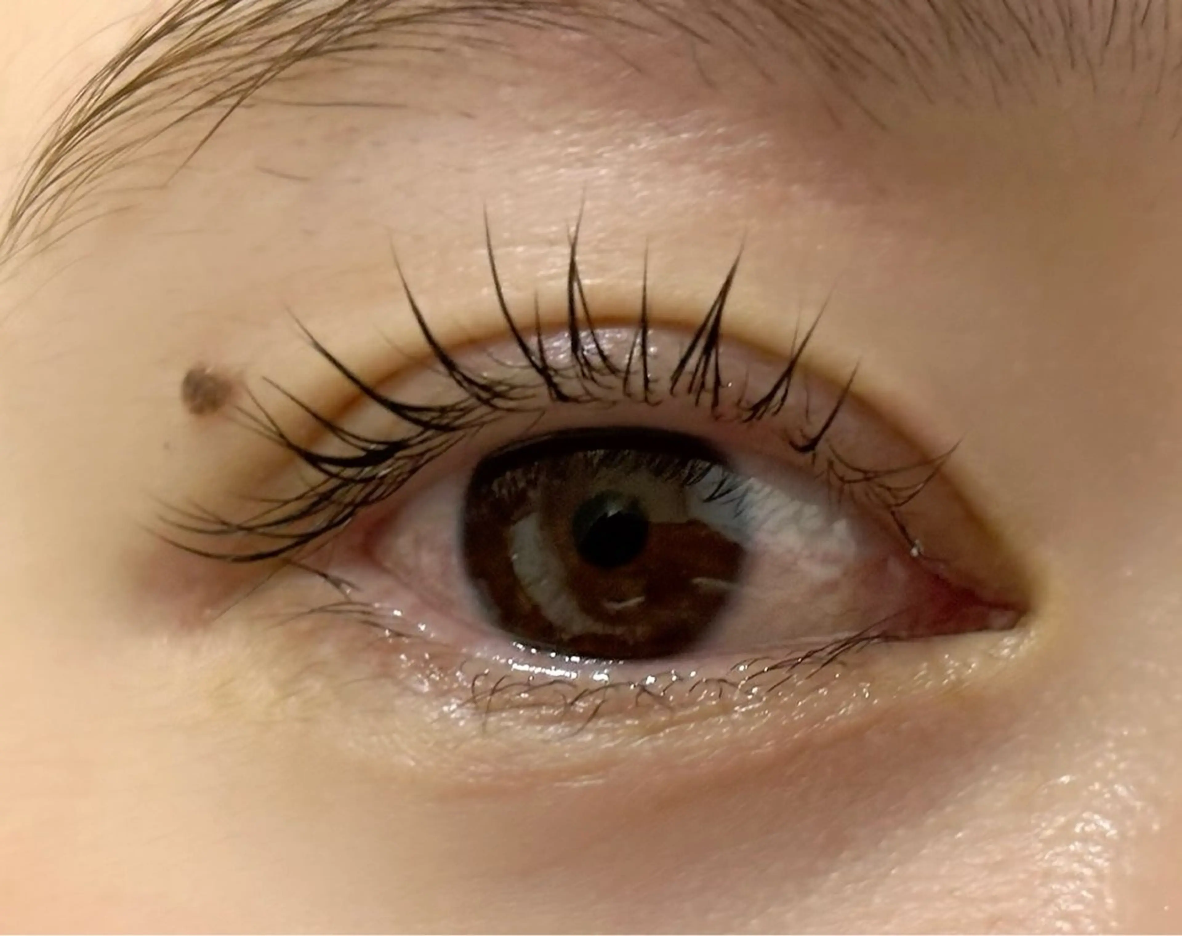 マツエク・マツパ tres AYANEのマツエク・マツパデザイン