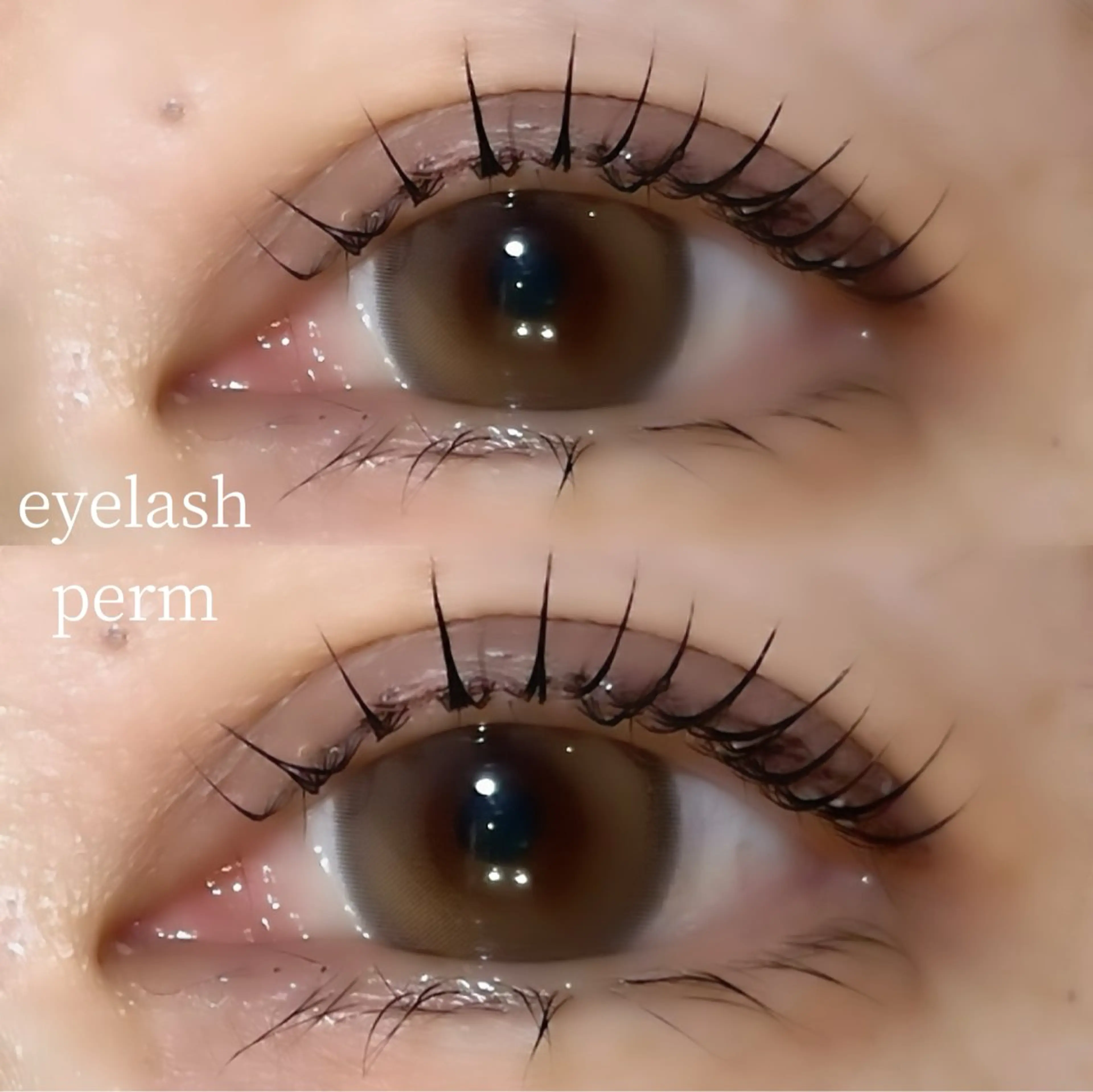 マツエク・マツパ Mon mignon ෆ‪momokaのマツエク・マツパデザイン