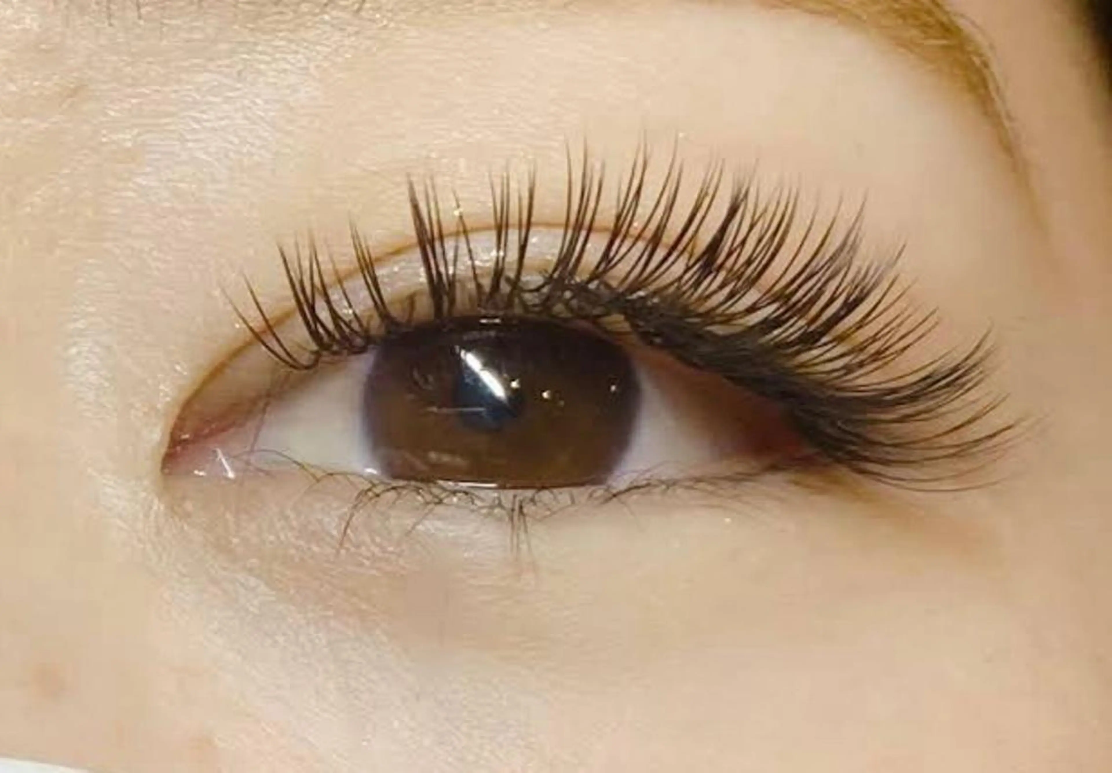 【まつ毛エクステ】セーブルラッシュ　100本◆火・金・土曜のみ予約可能◆の写真