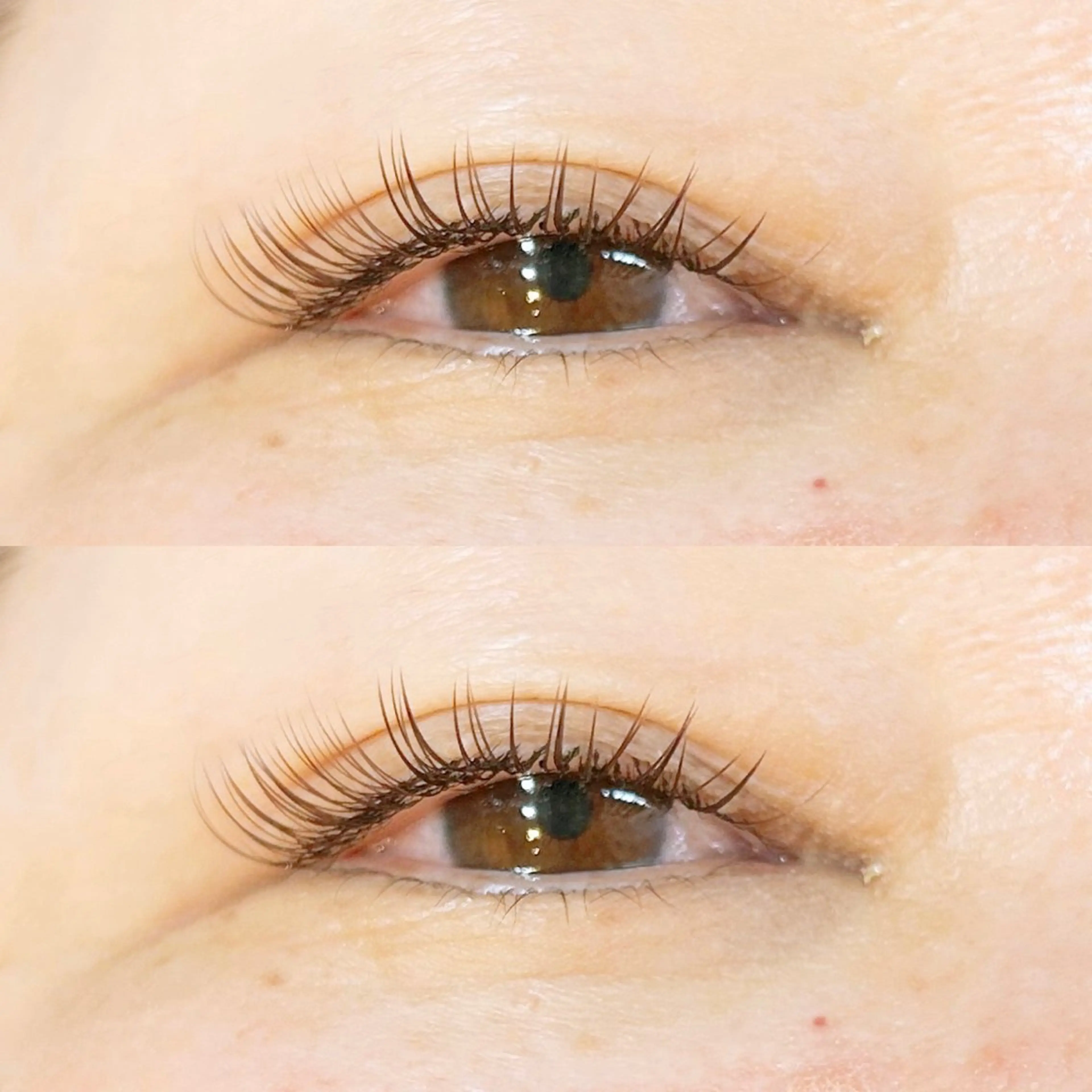 【オフ込み】🦄最先端⭐️高持続&密着⭐️LEDフラットラッシュ140本🦄の写真