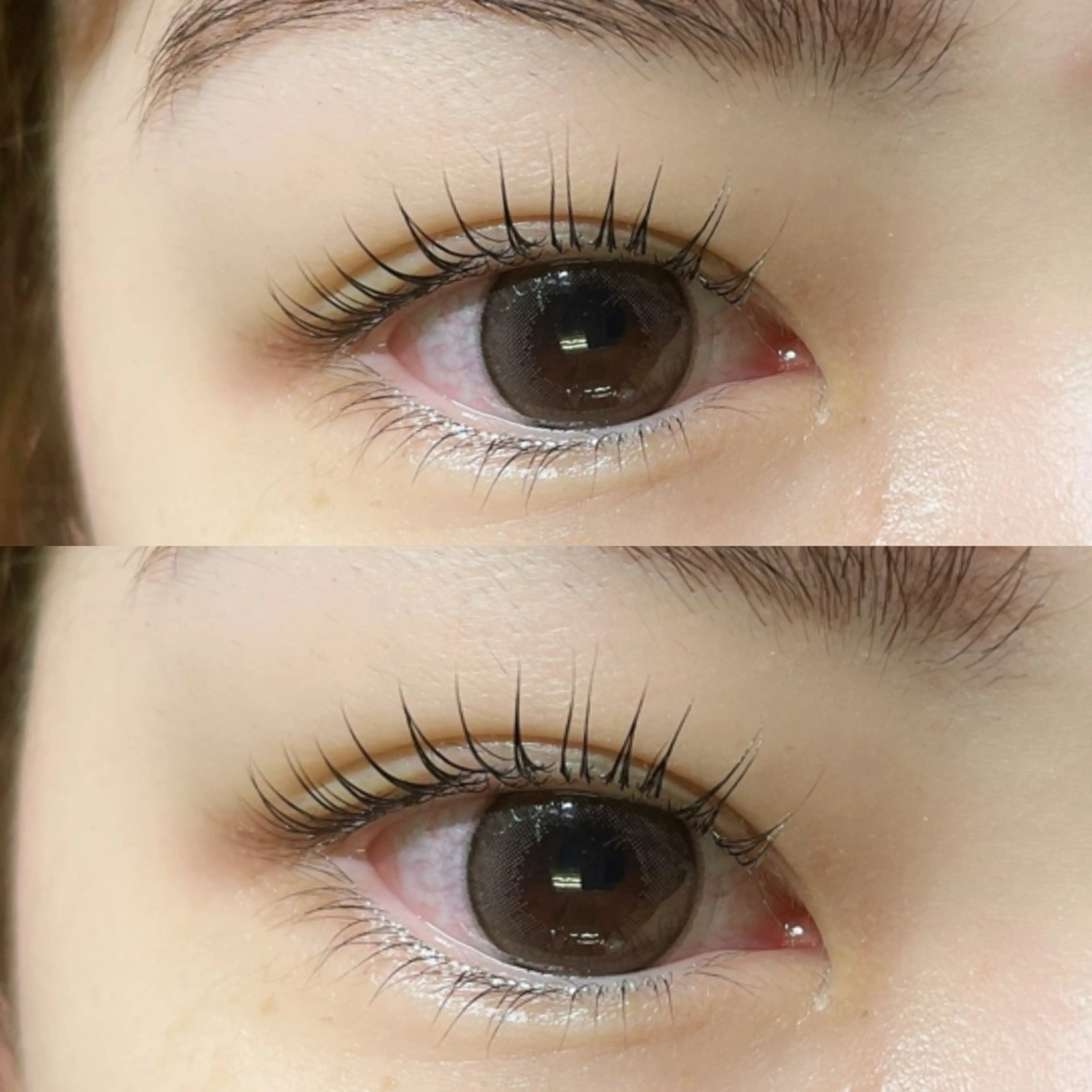 マツエク・マツパ マツパ リフュージュ　隠れ家所属・リフュージュ🌷 カホのマツエク・マツパデザイン