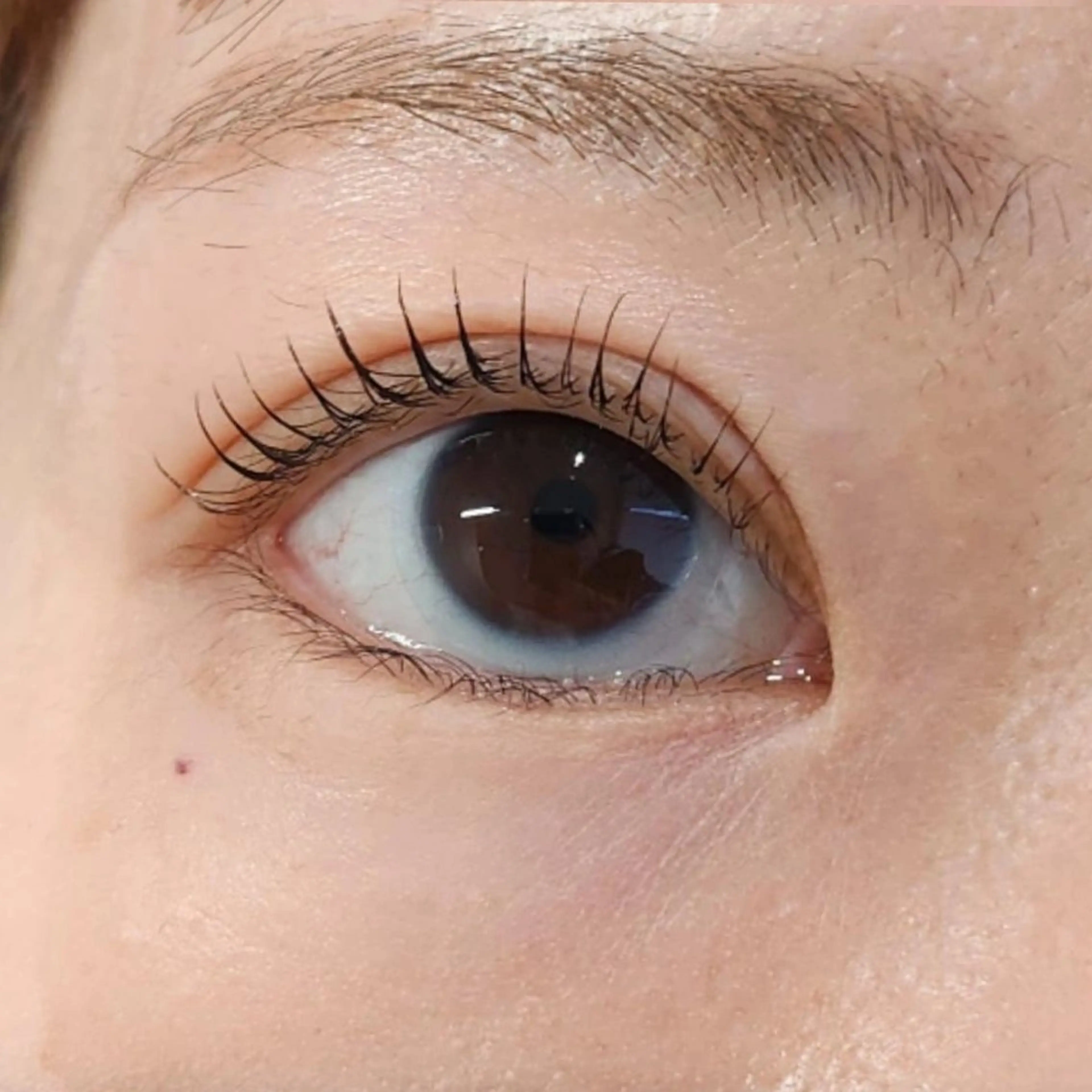 マツエク・マツパ Ayaka アヤカのマツエク・マツパデザイン