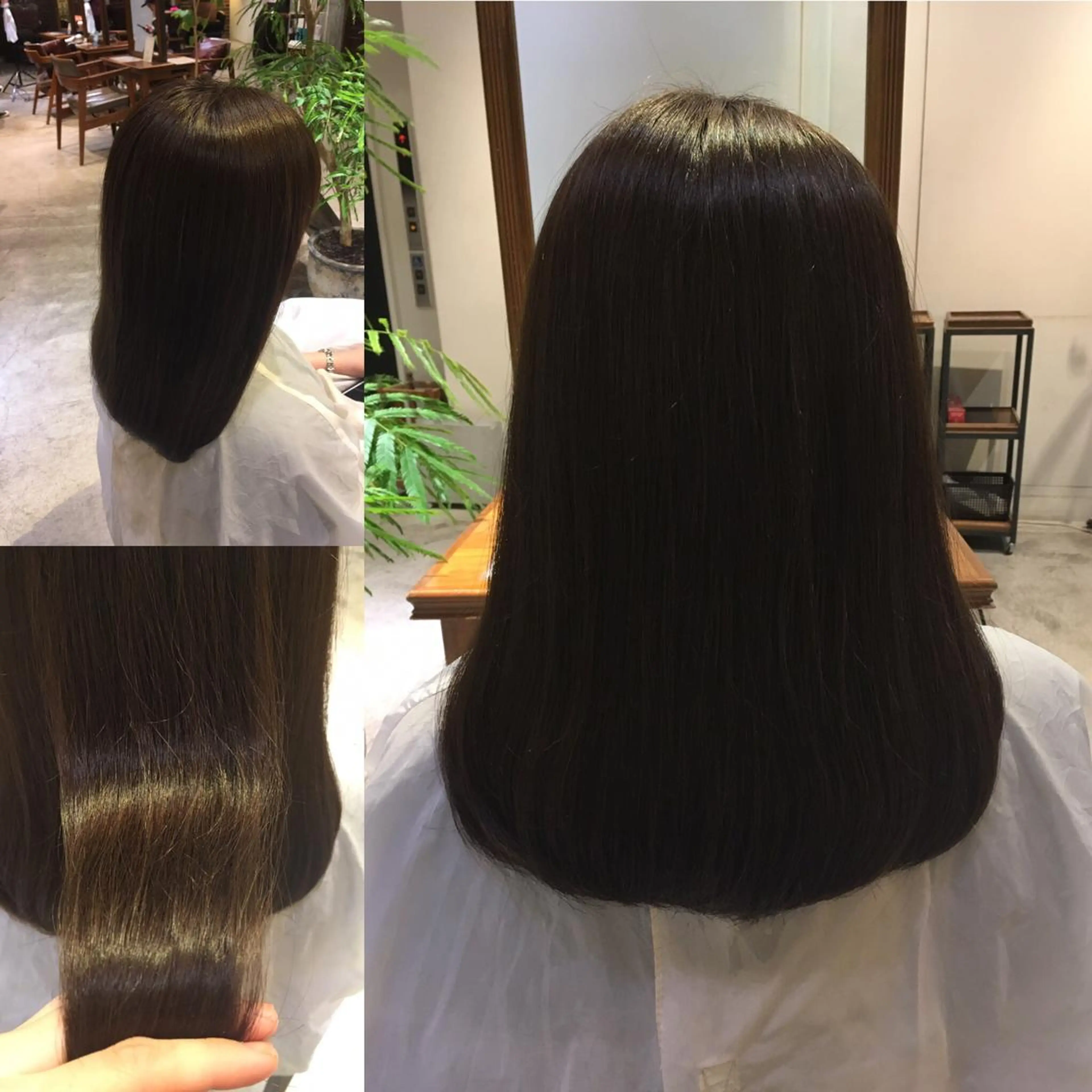 セミロング カラー アッシュ オリーブアッシュ ツヤ美髪💐 髪質改善/高山愛来のヘアスタイル