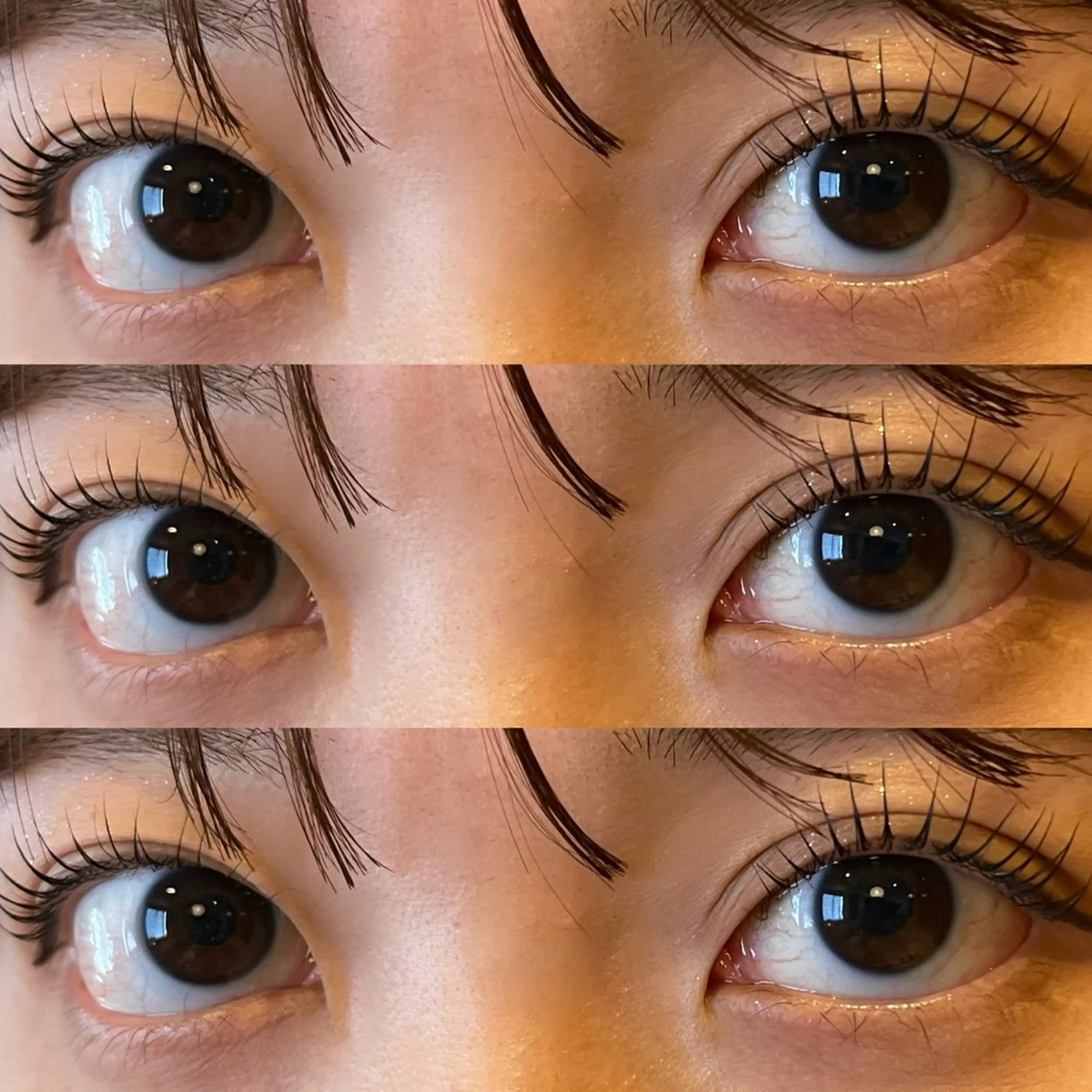 《2回まで利用可能🌙Instagramフォロー必須》ラッシュリフトorパリジェンヌラッシュリフト🪐の写真