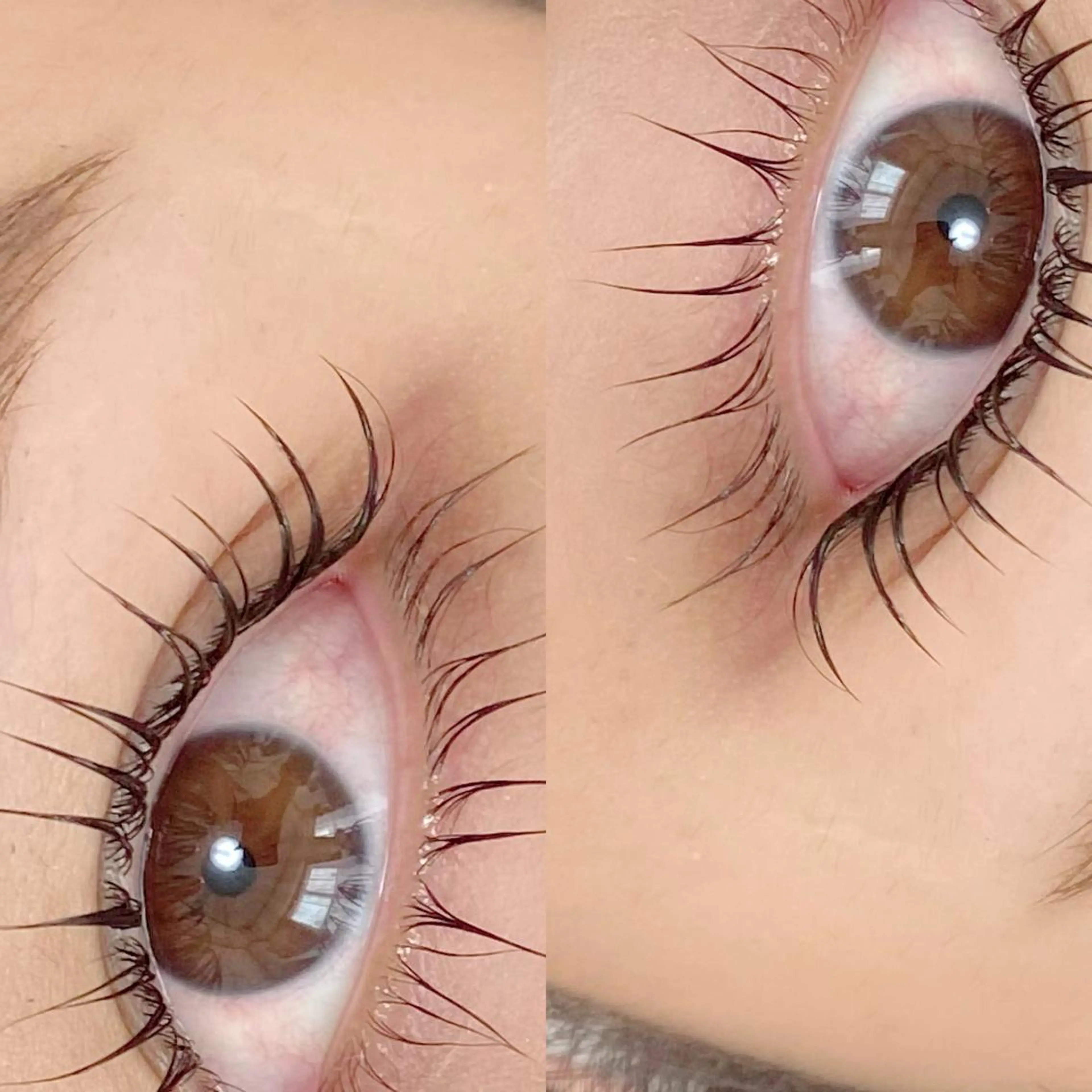 マツエク・マツパ 【那覇/束感まつ毛】 ｷｬﾒﾙのマツエク・マツパデザイン