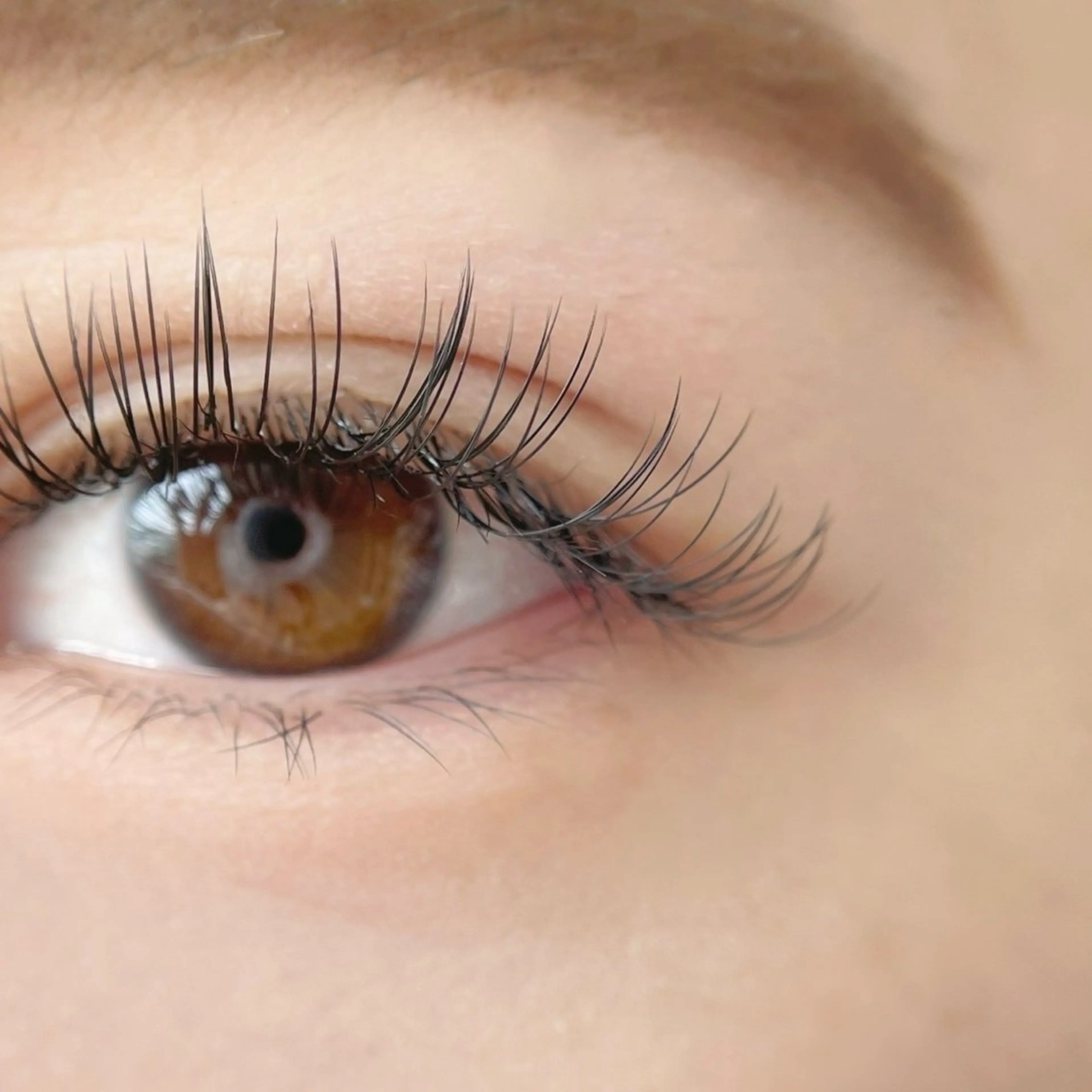 フラットマットラッシュ80本アイシャンプー付き🫧の写真