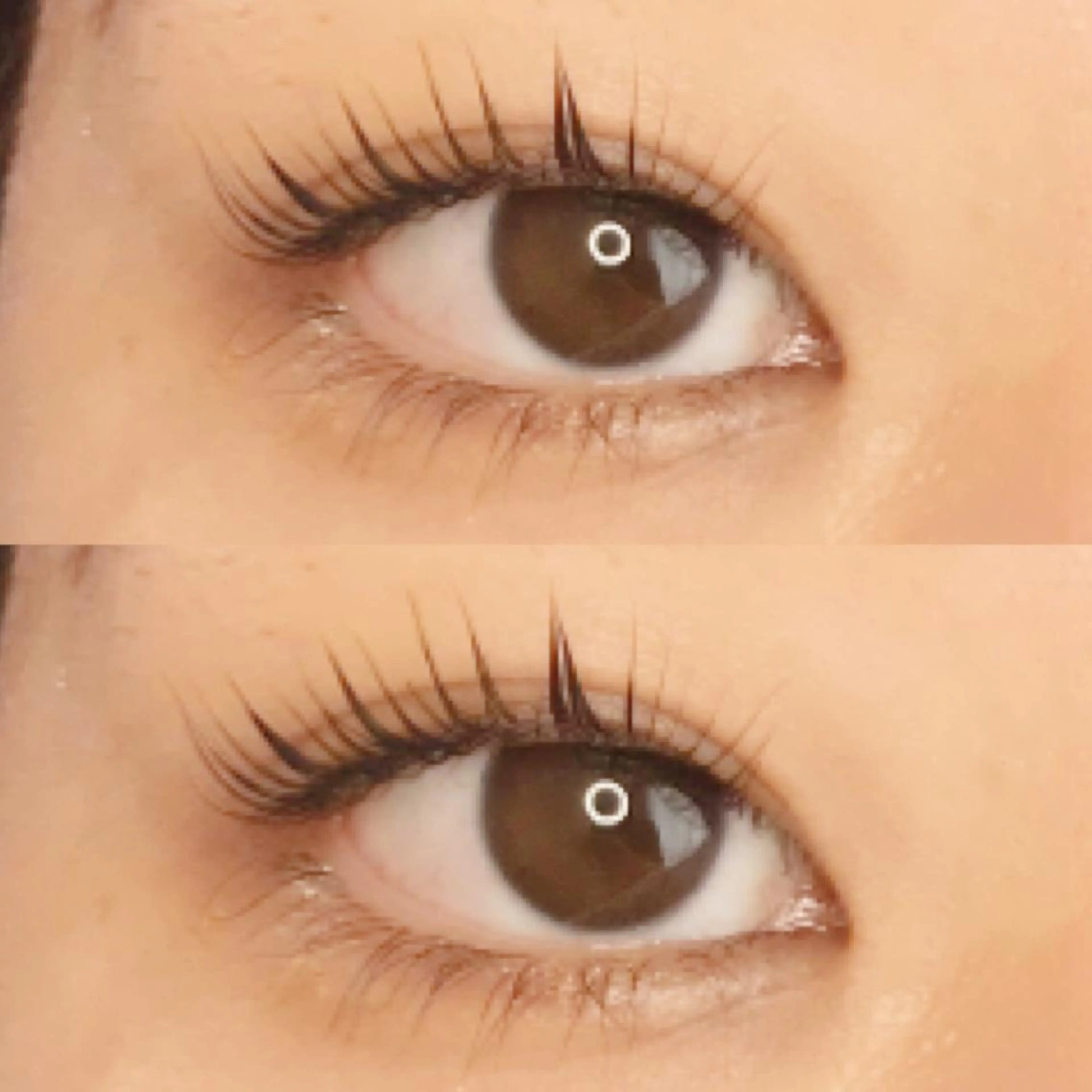 マツエク・マツパ 《eyelash ｉｉｔｅ》森のマツエク・マツパデザイン