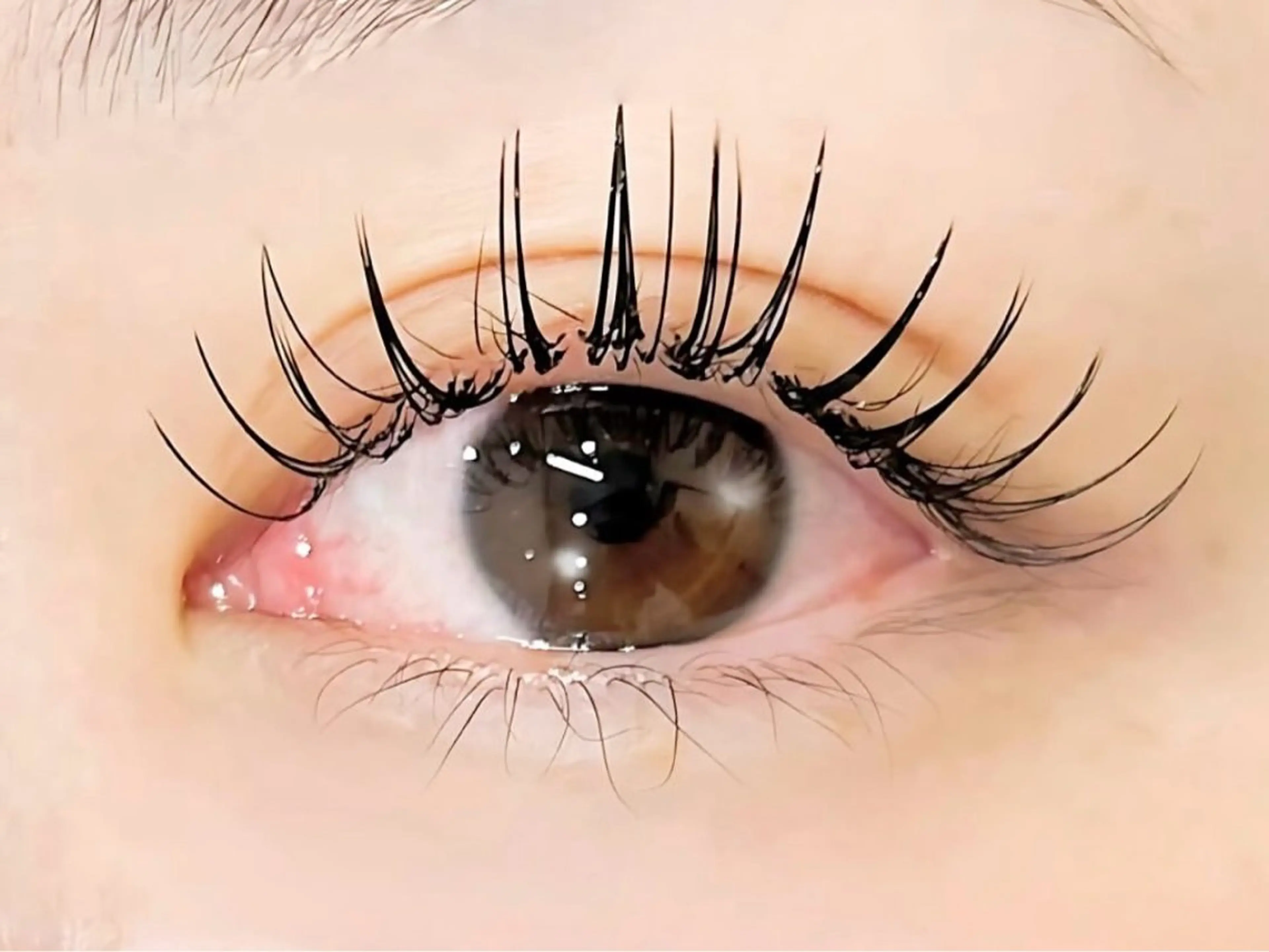 🌵最高級セーブル140本 ¥5950 ◎フラットラッシュ＋1650の写真