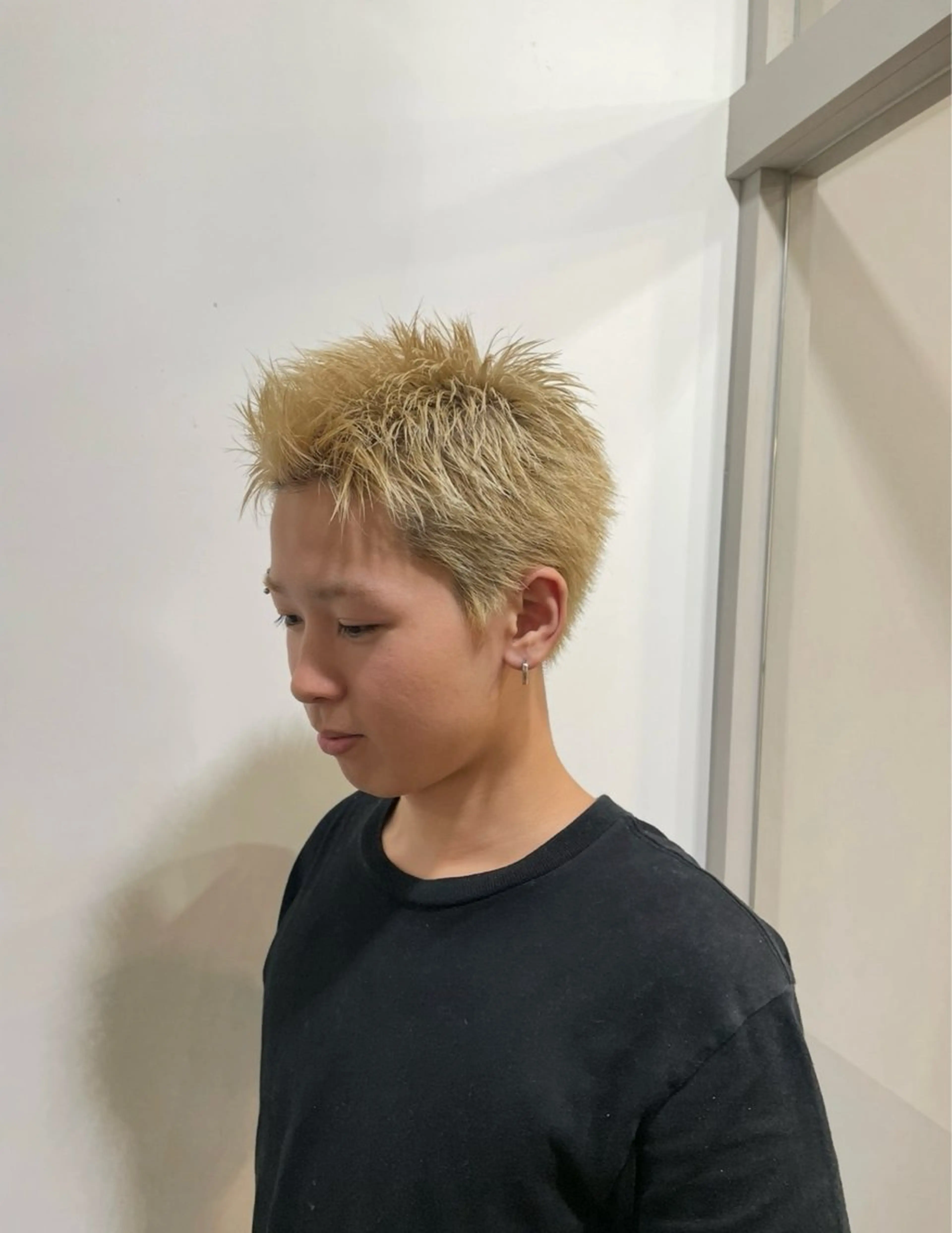 ショート カラー ショートヘア 船生 心のヘアスタイル