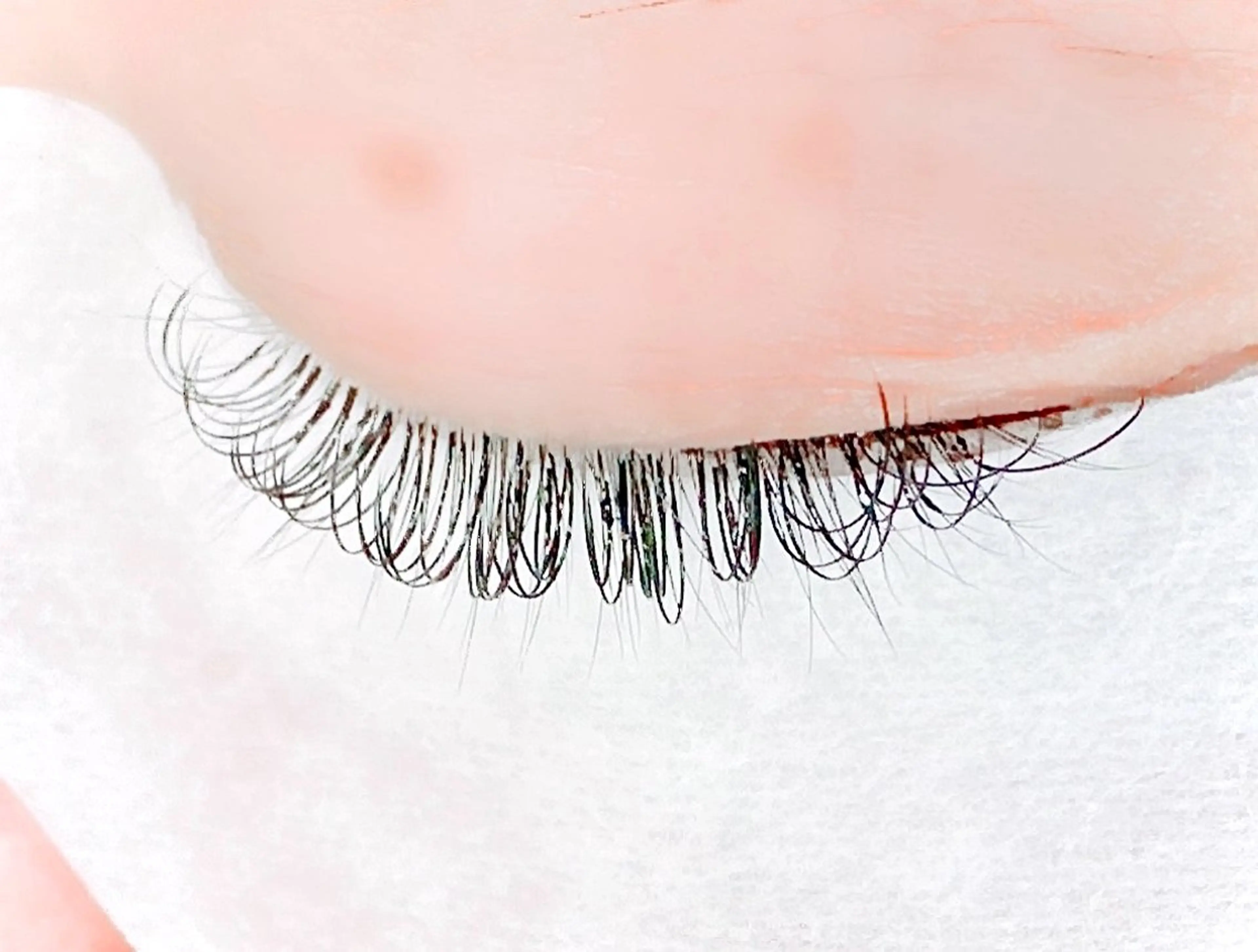 マツエク・マツパ Dカール 【felice】 Takahashiのマツエク・マツパデザイン