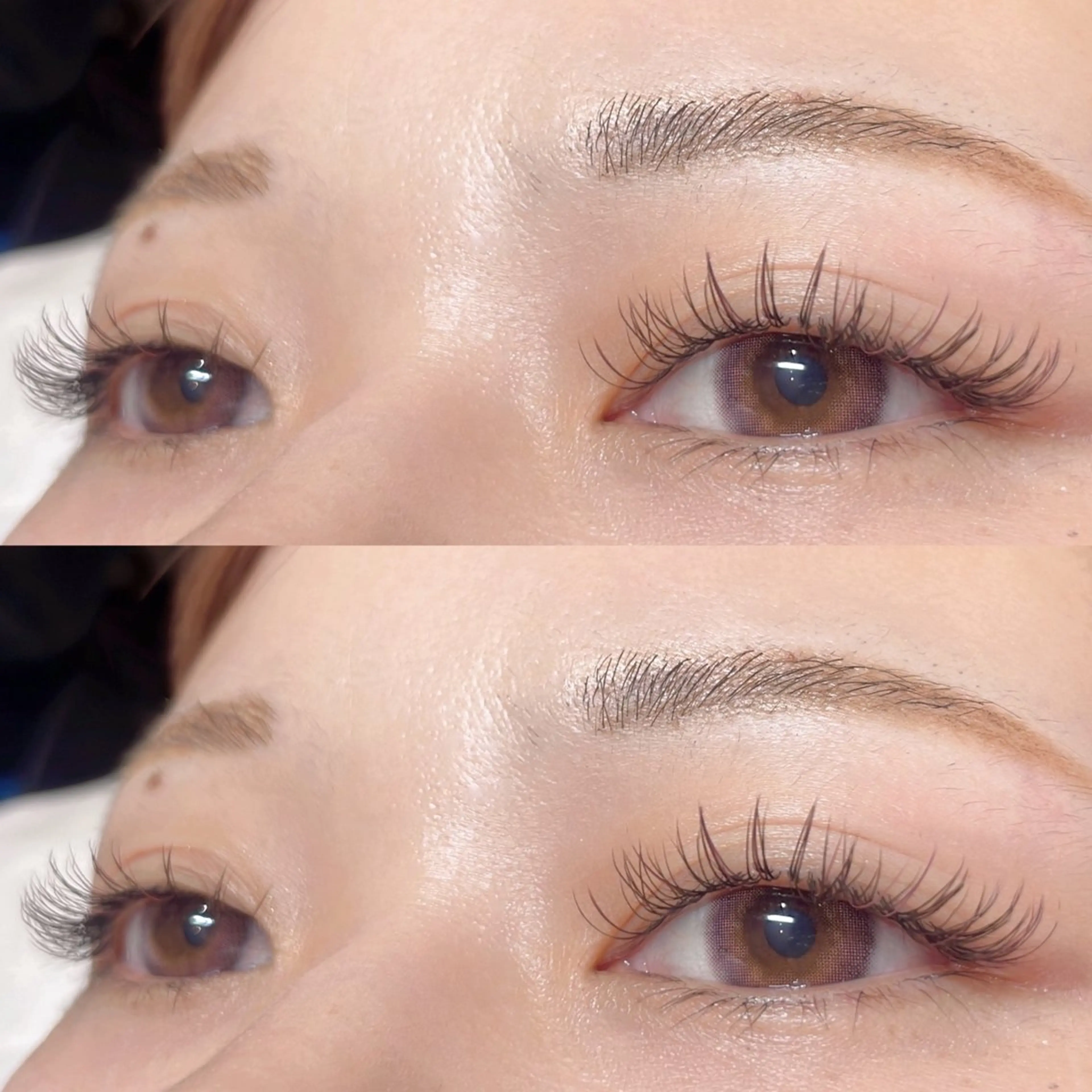 セーブルエクステ🔹100本〜160本(片目50本〜)の写真