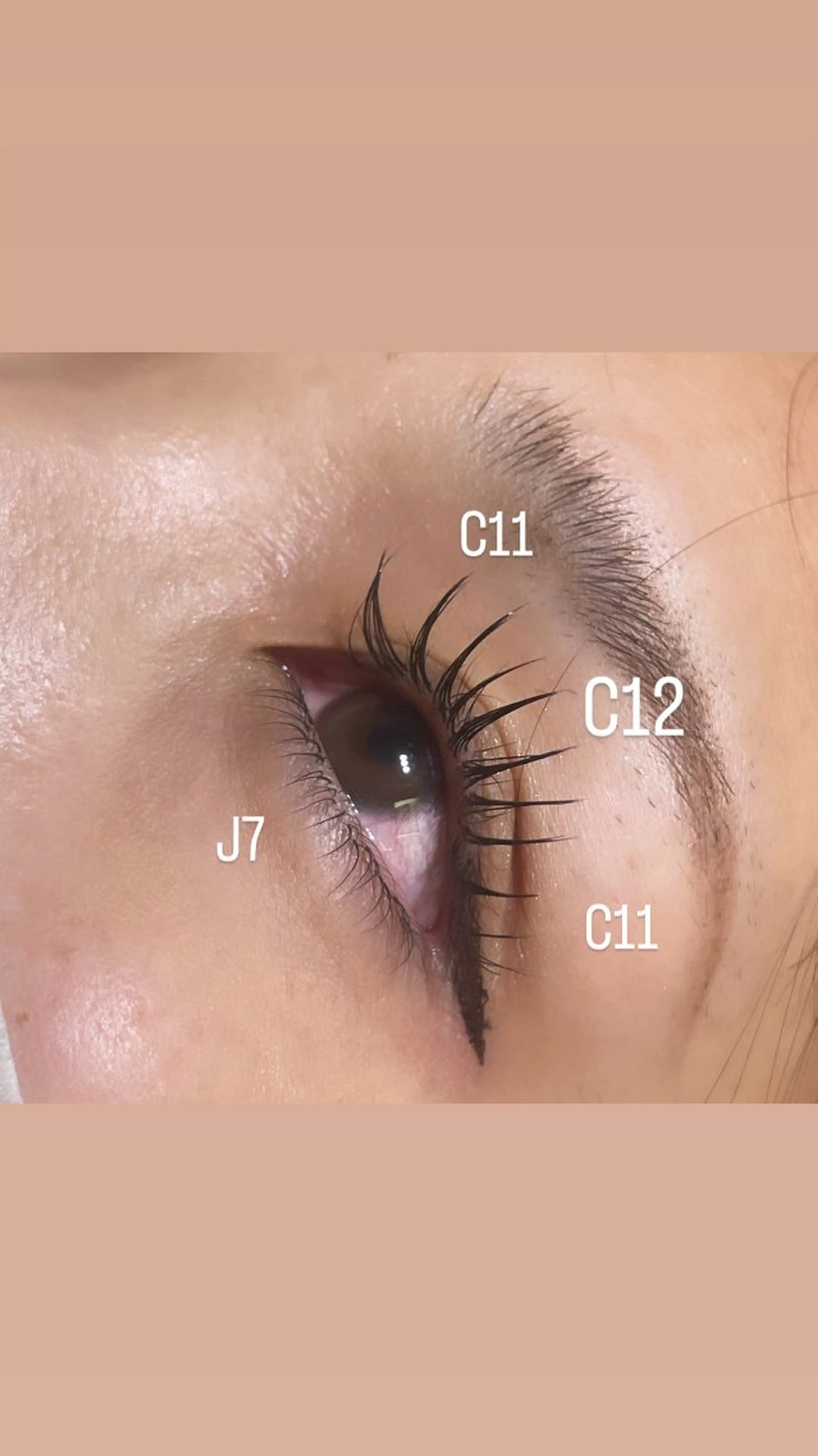 マツエク・マツパ 🍀MAQUIA 新札幌店　吉田真桜のマツエク・マツパデザイン