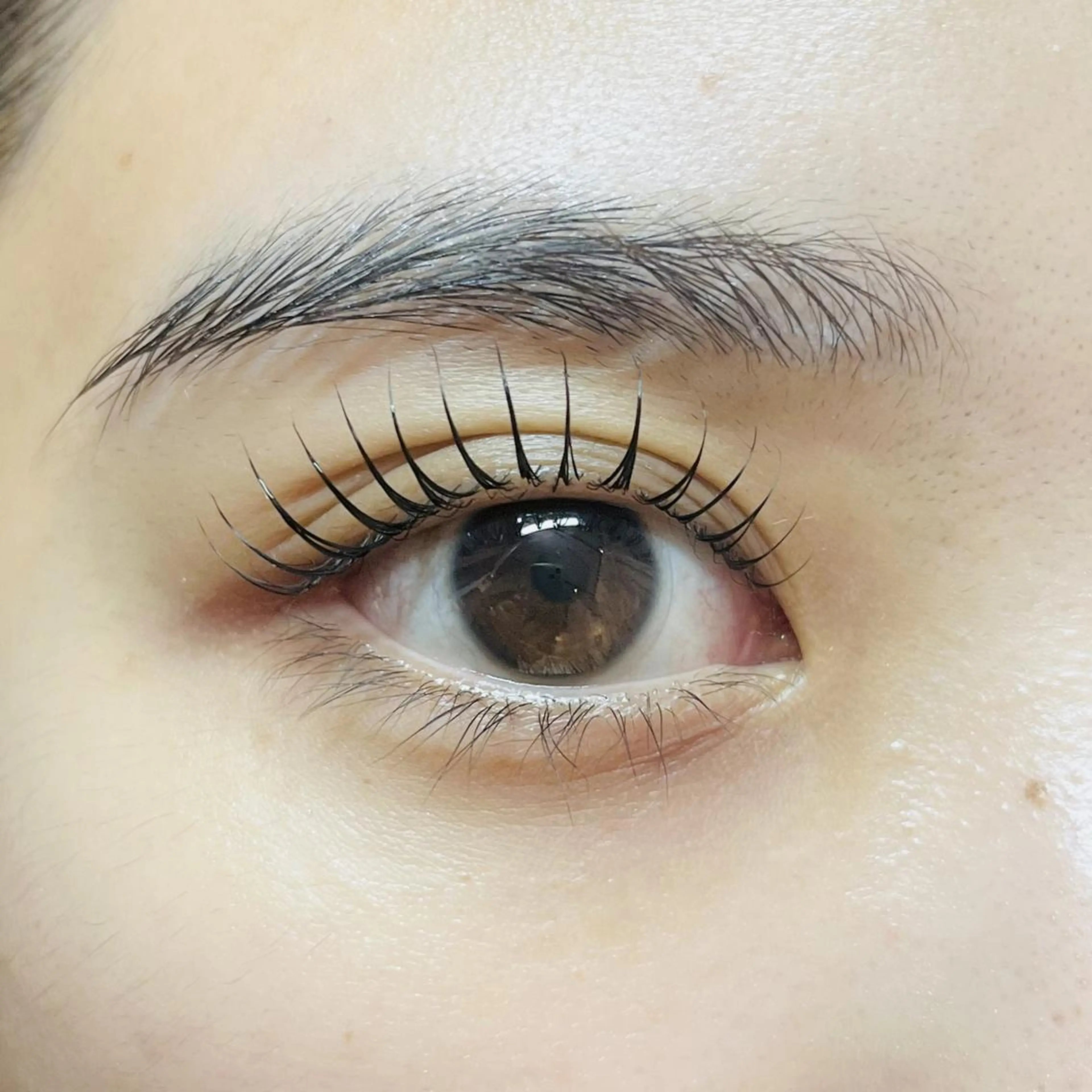 上まつ毛パーマ(オフ無しの方のみ)　※ 10代後半の方はご年齢をお送りくださいの写真