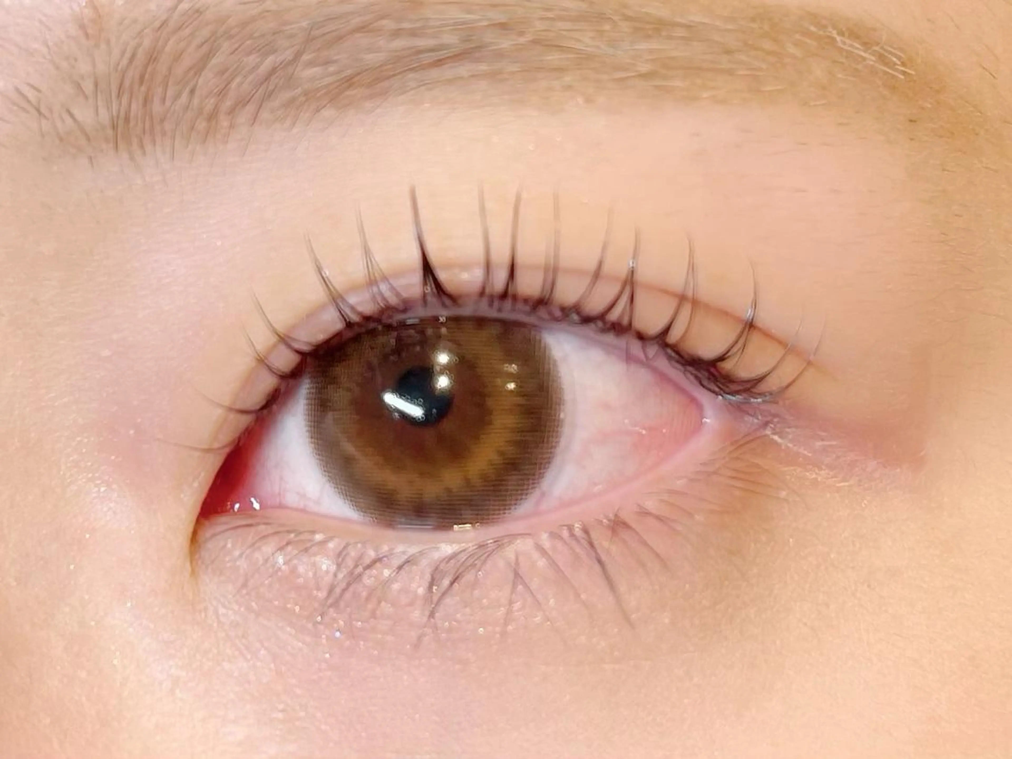 マツエク・マツパ バービーラッシュリフト マツパ mamAsIenne 寺尾のマツエク・マツパデザイン