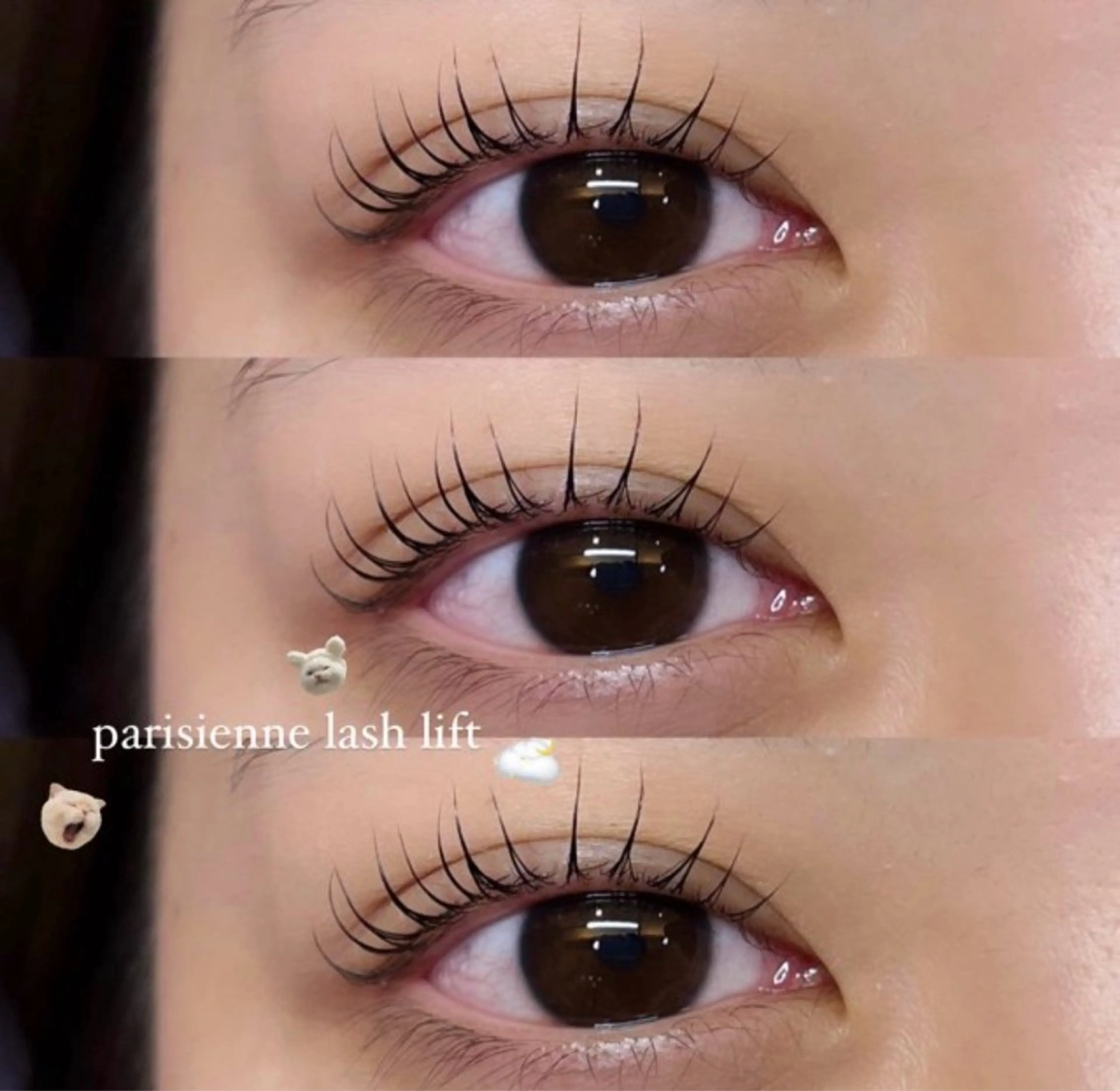 マツエク・マツパ 💞絶対カワイイ保証 💞⌇﻿amlのマツエク・マツパデザイン