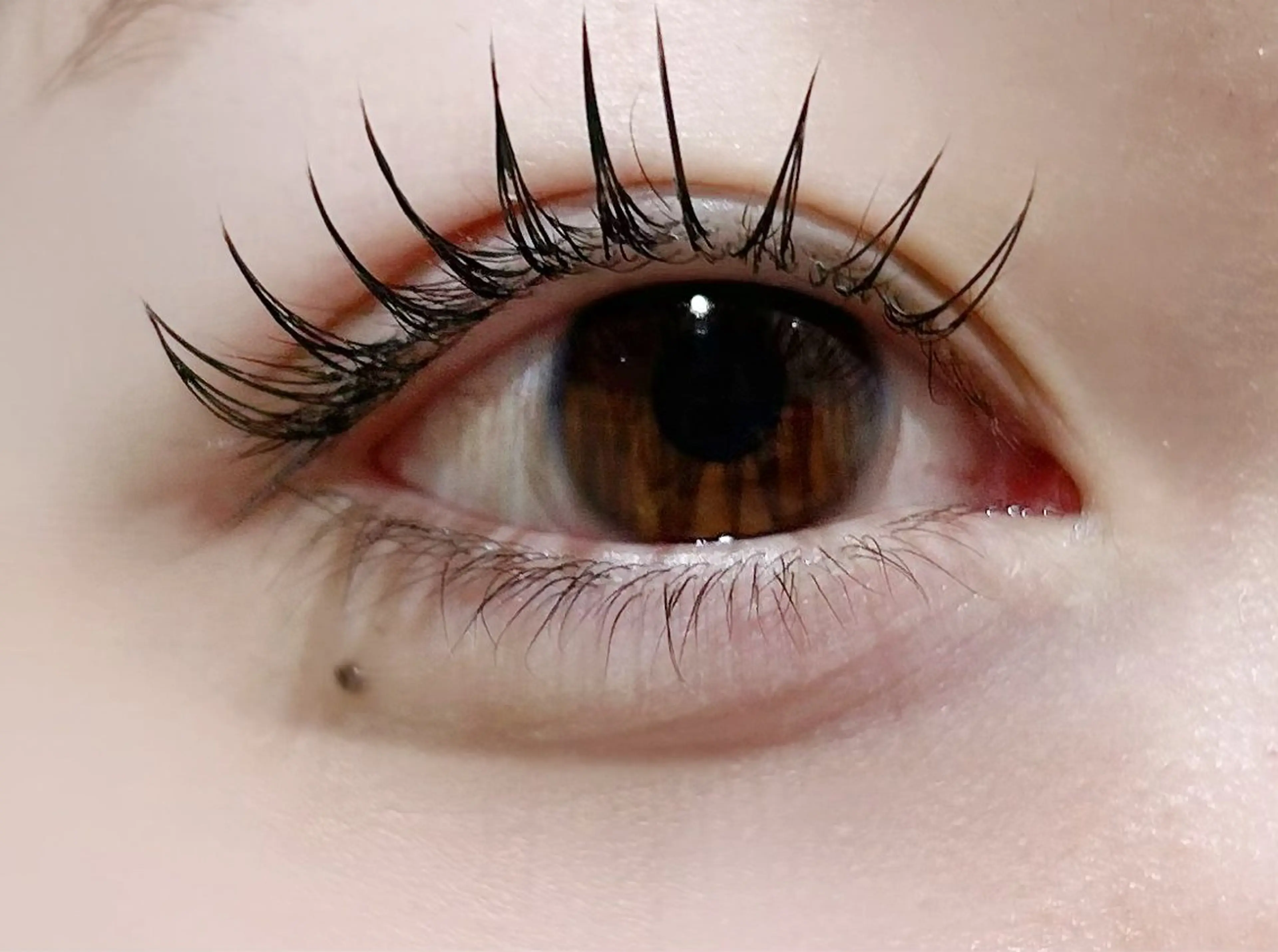 マツエク・マツパ フラットラッシュ ナチュラル レイ ⭐︎のマツエク・マツパデザイン