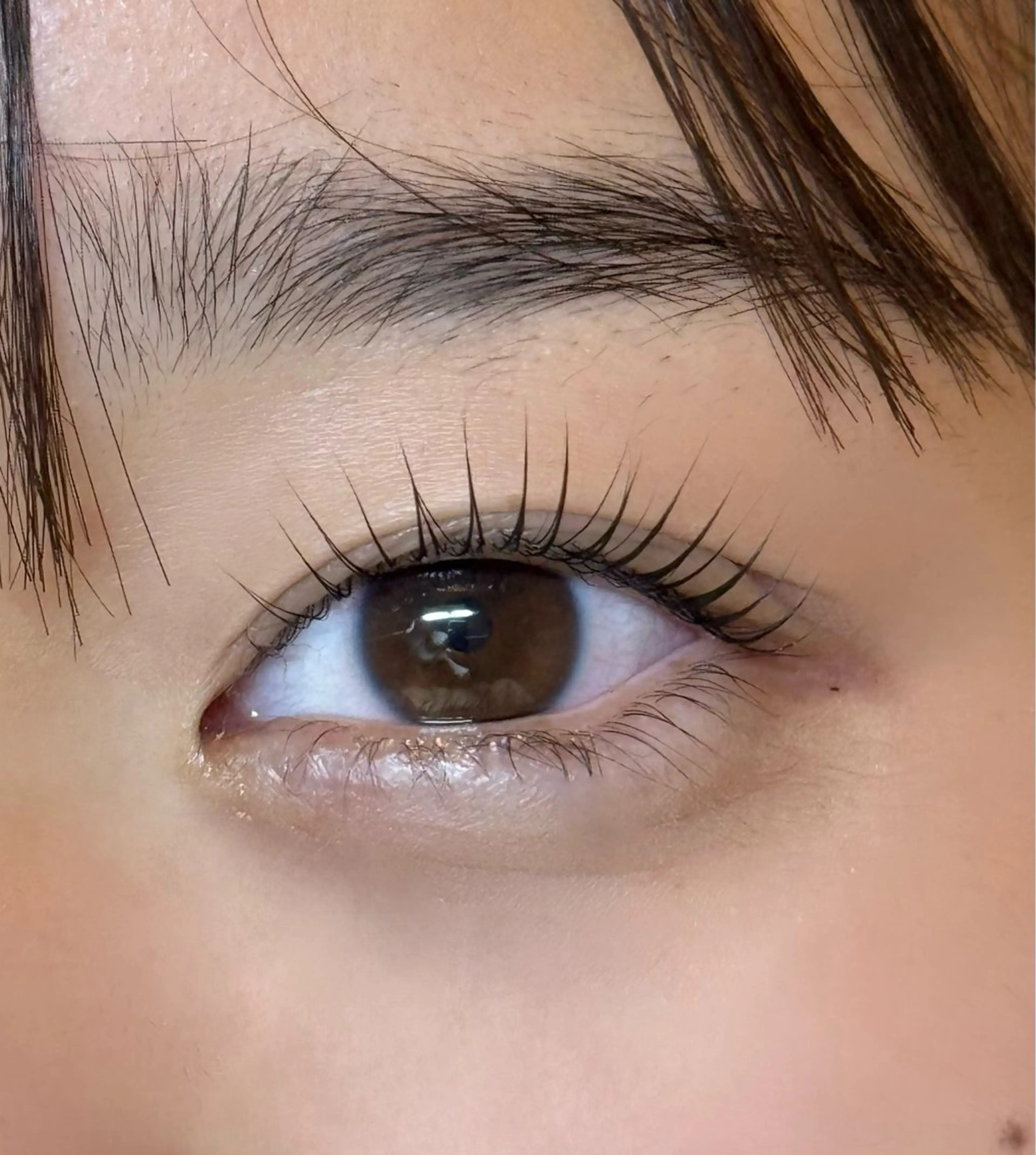 マツエク・マツパ Ele eyelash所属・Ele RINA 【似合わせマツエク】のマツエク・マツパデザイン