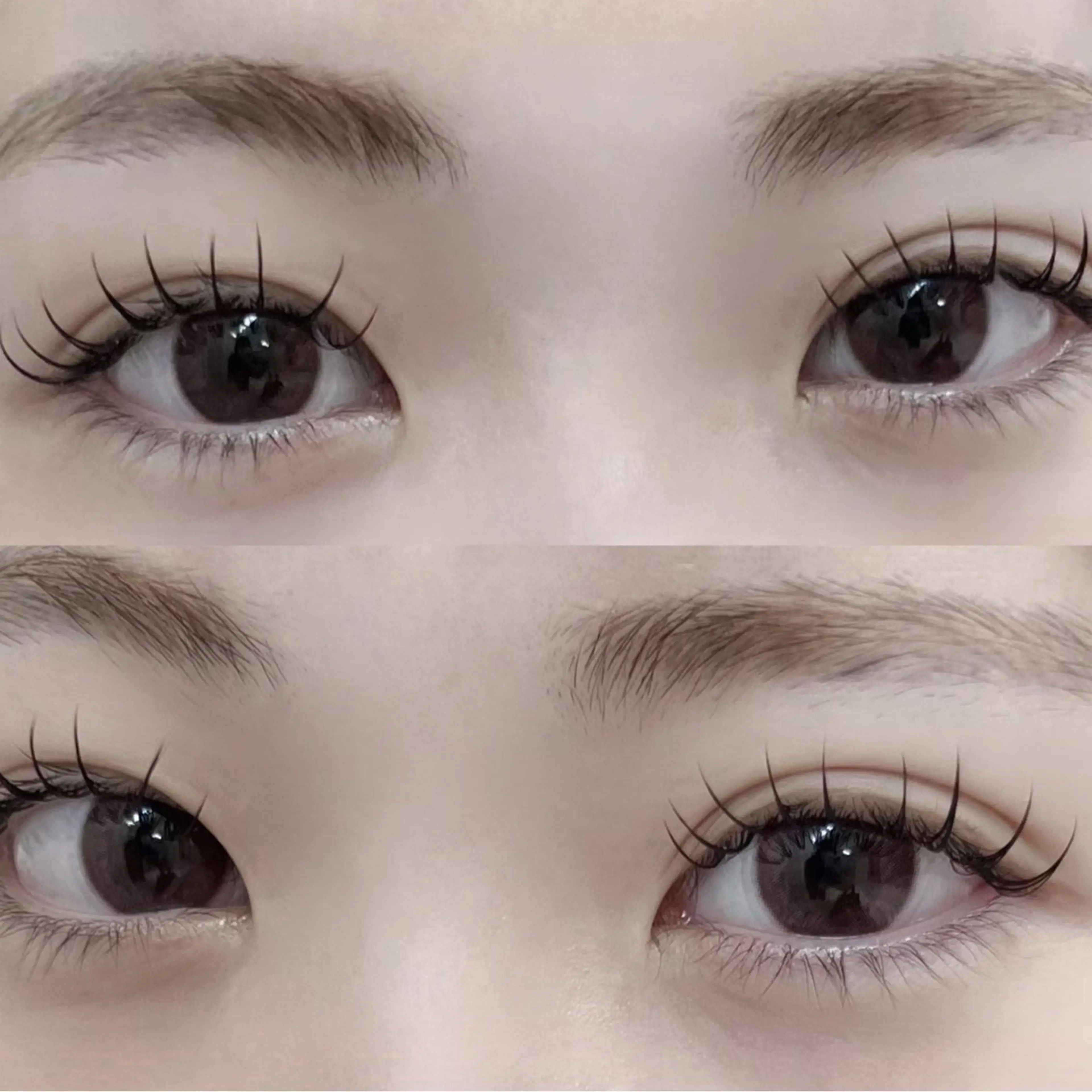 フラットラッシュ120本🌷（オフ別途+550円）の写真