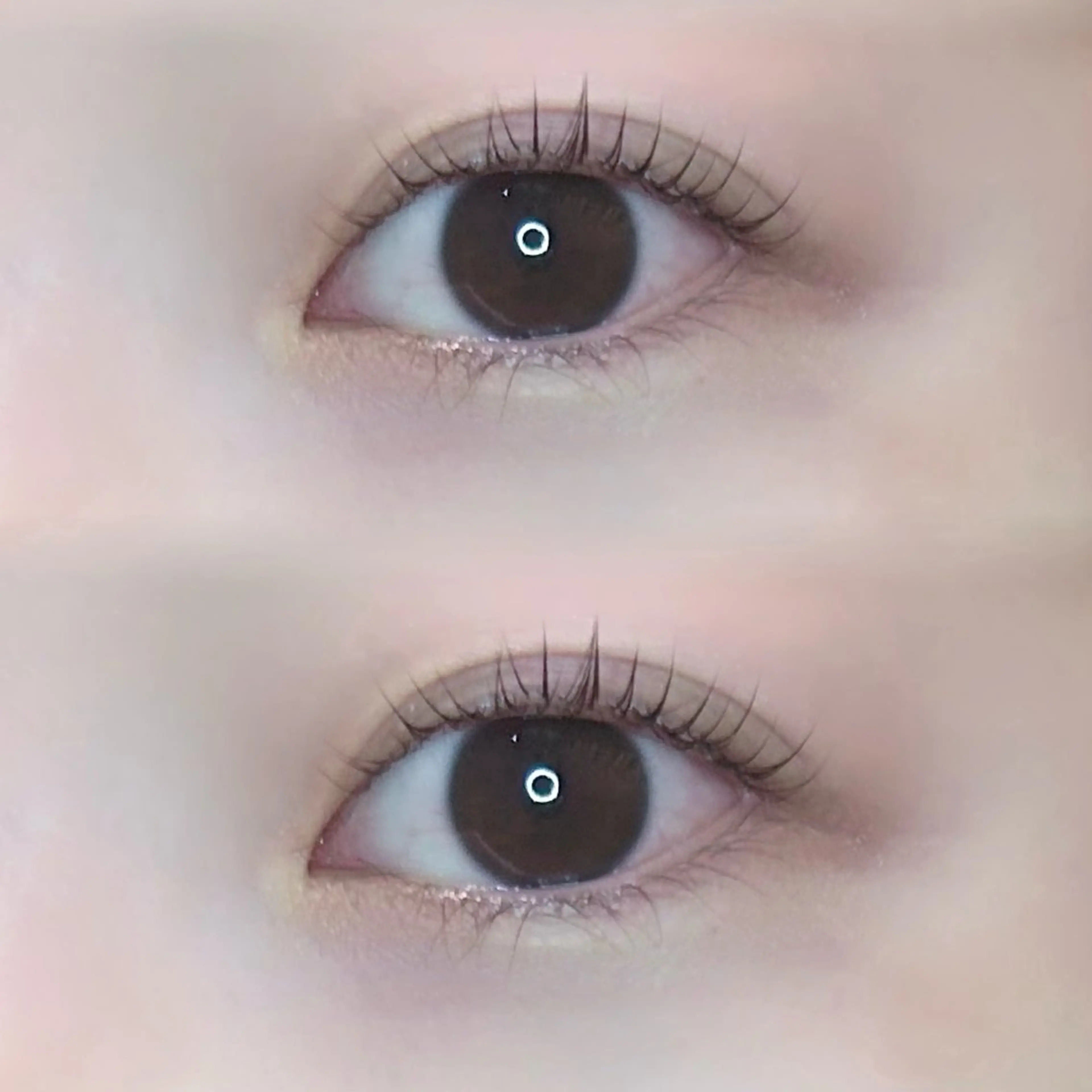 マツエク・マツパ パリジェンヌラッシュリフト 🍀fein. sakura🍀の眉毛・アイブロウイメージ