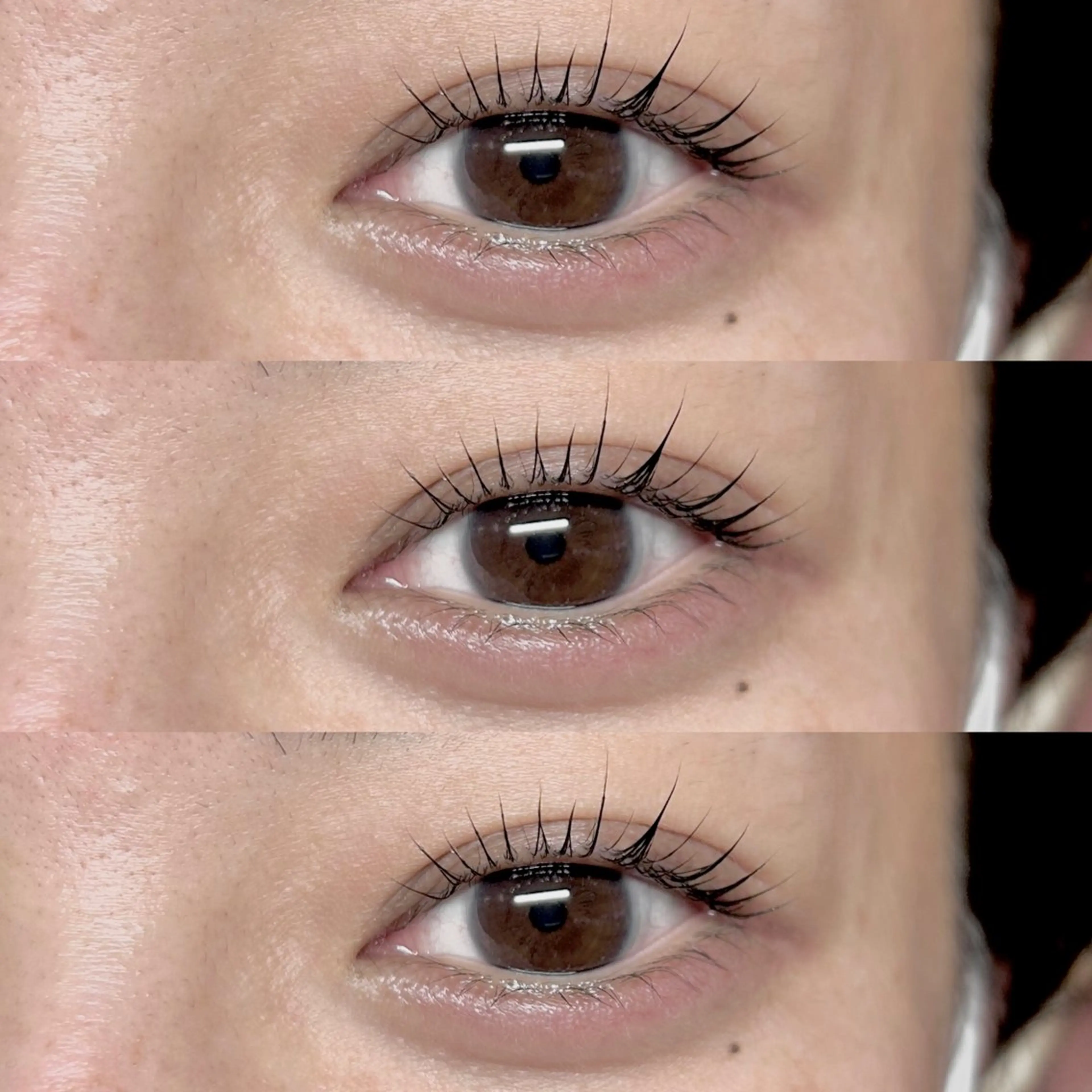 11/16限定🎀　eyelash lift 本日🈳あり/の写真