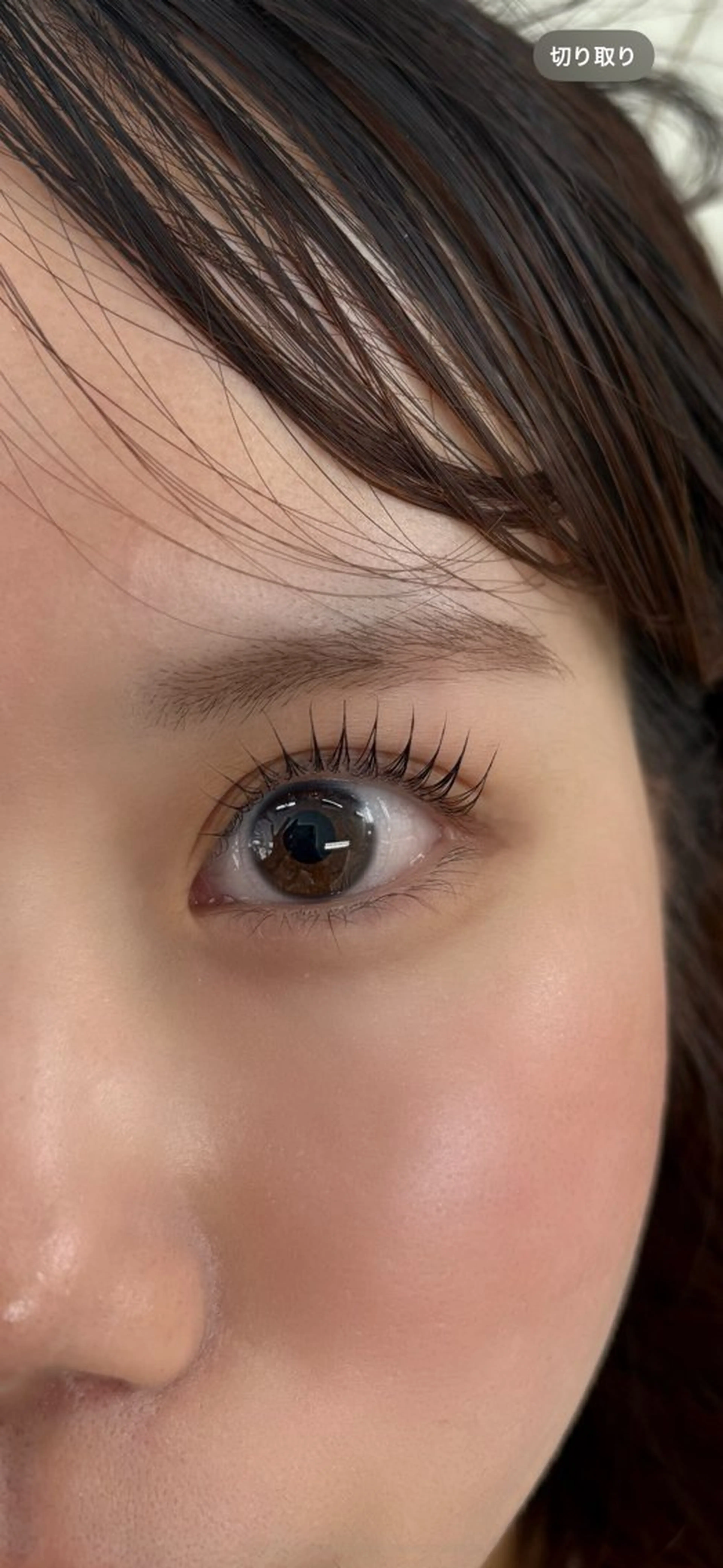 マツエク・マツパ パリジェンヌラッシュリフト Blossa所属・あべ みずき🐈‍⬛の眉毛・アイブロウイメージ