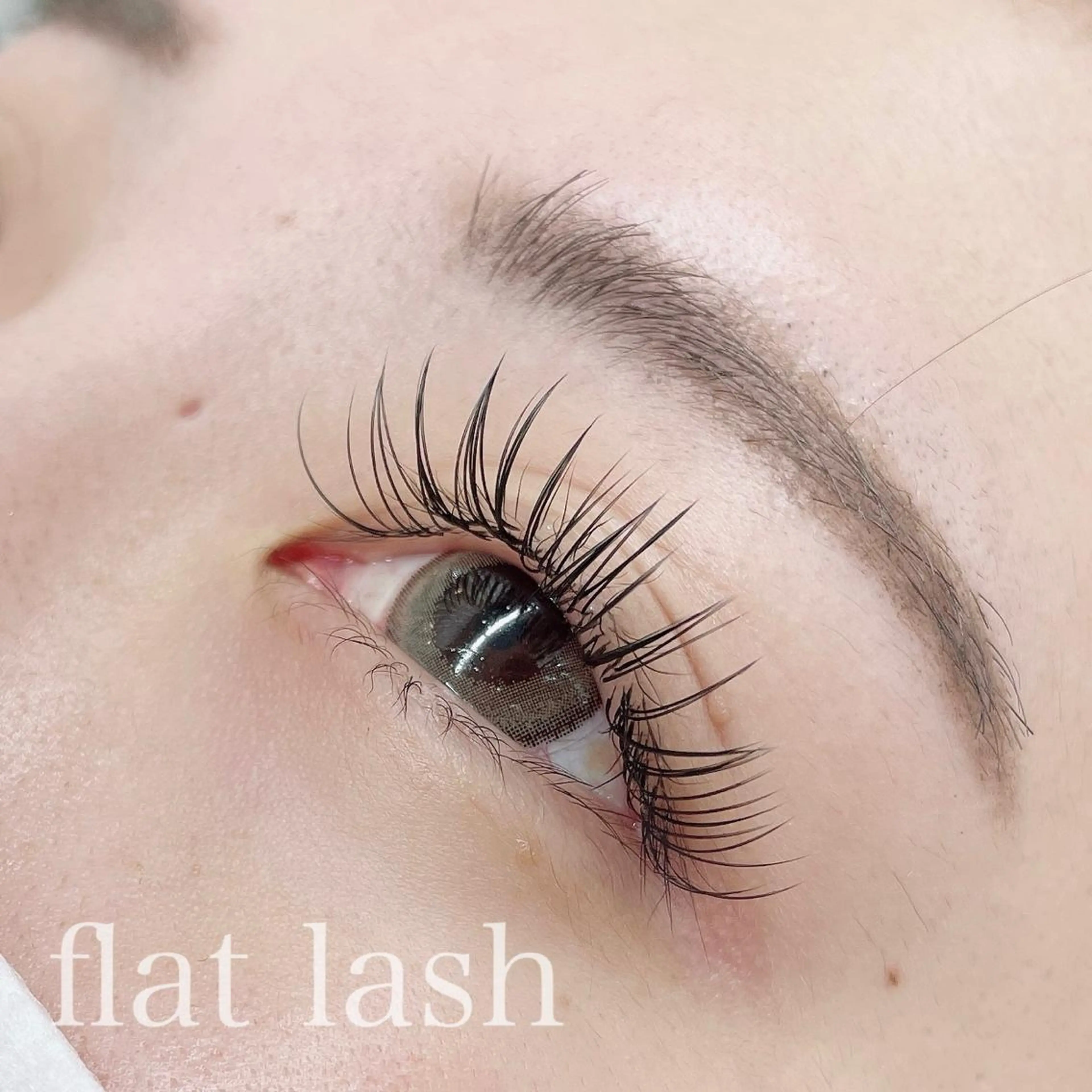 フラットラッシュブラック100本の写真