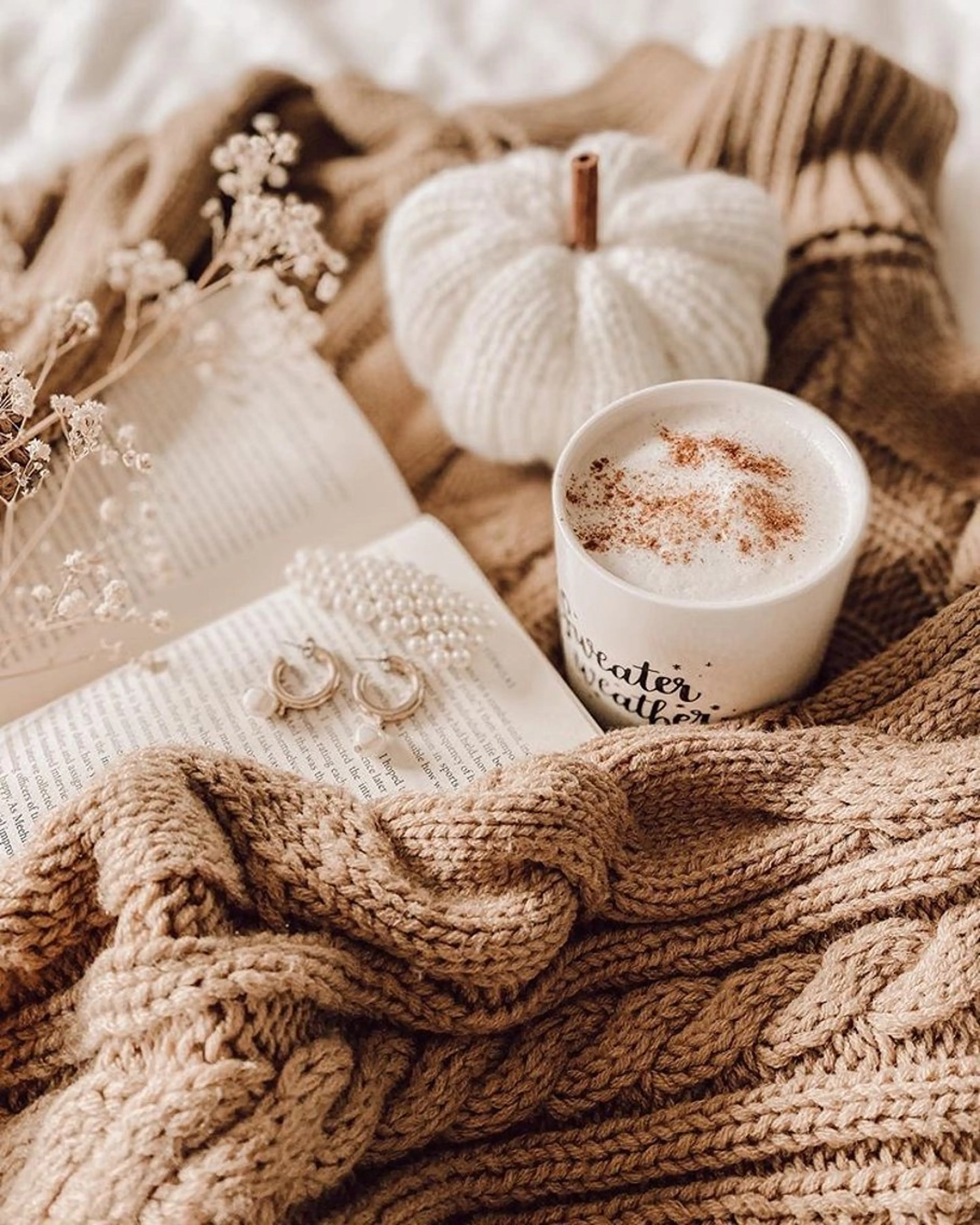 ネイル オーロラネイル マグネットネイル マグネットワンカラー ワンカラーネイル 🌐　BIANCA endo 　🌐のその他イメージ