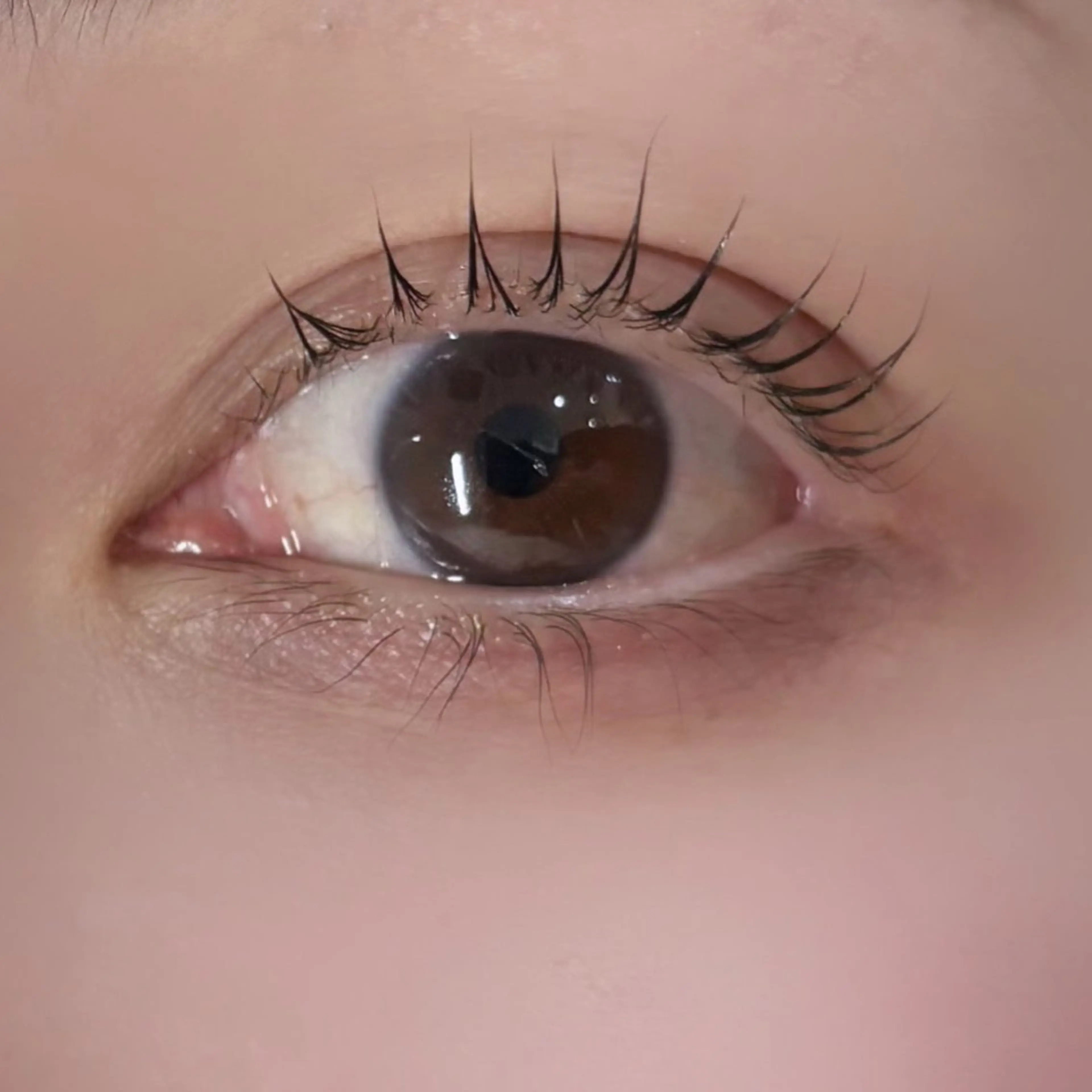 マツエク・マツパ 谷村 美波のマツエク・マツパデザイン