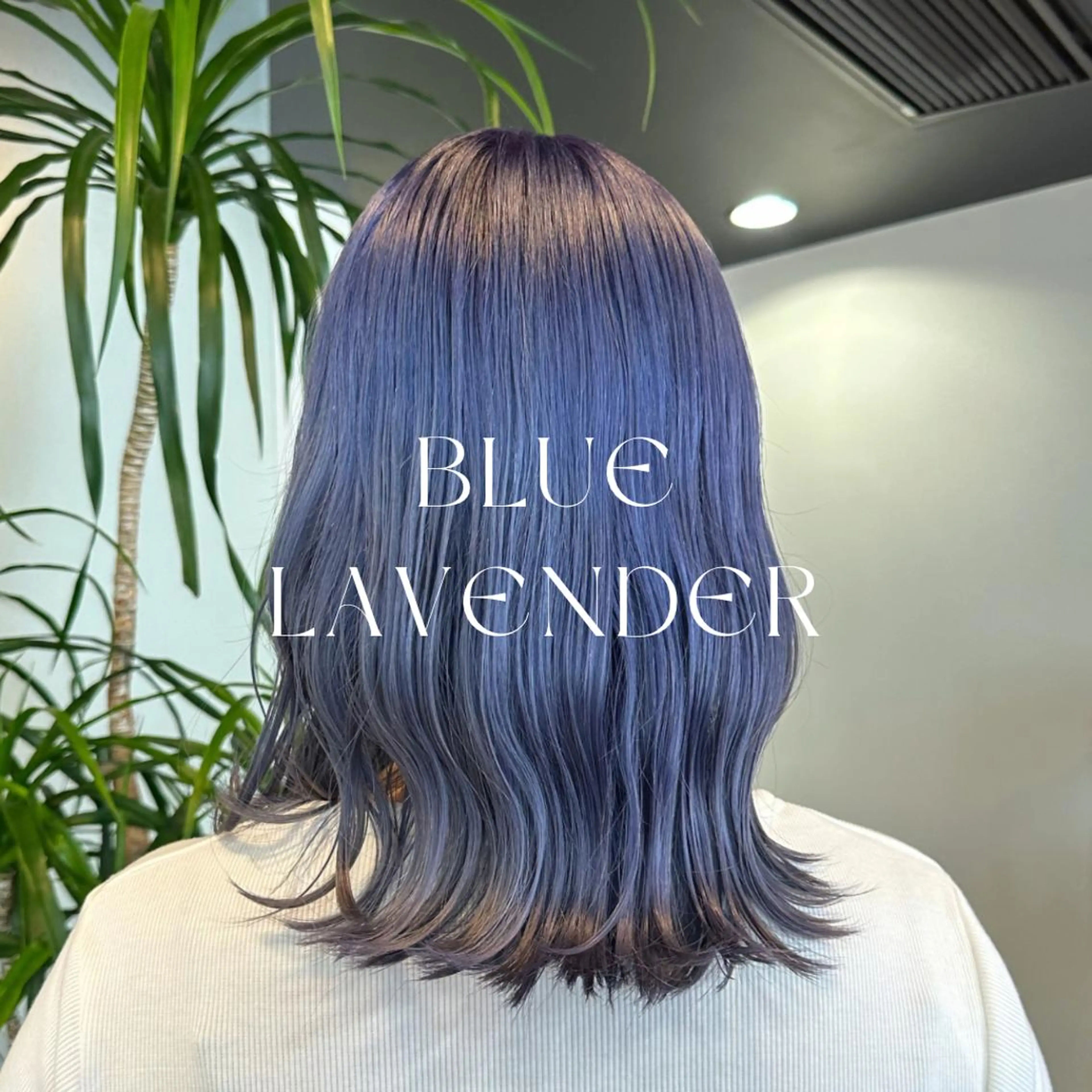 カラー ハイトーン/暖色/ 眉/メイク/Rinaのヘアスタイル