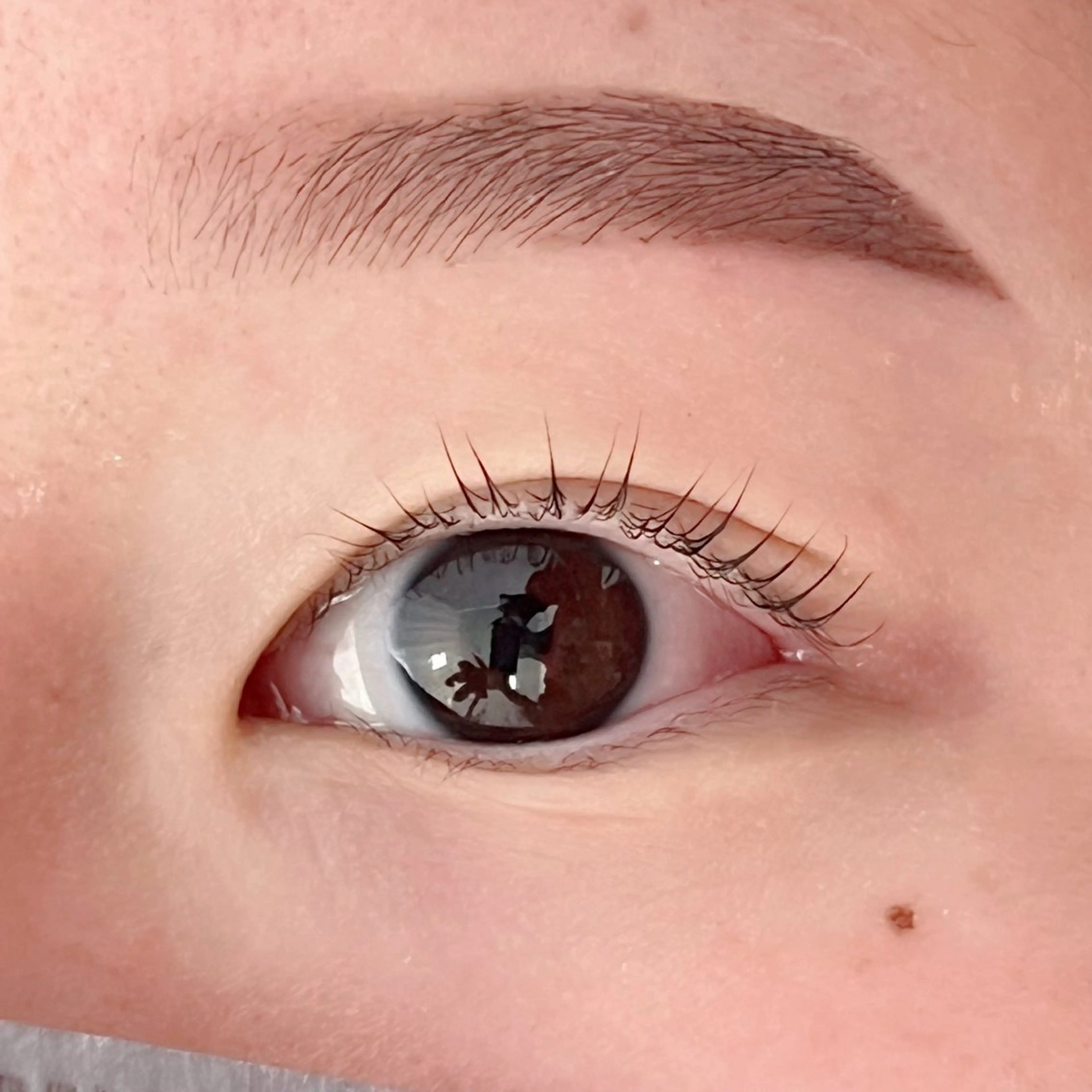 アイブロウ ワックス脱毛 眉カット その他(アイブロウ) 田村 莉子のマツエク・マツパデザイン