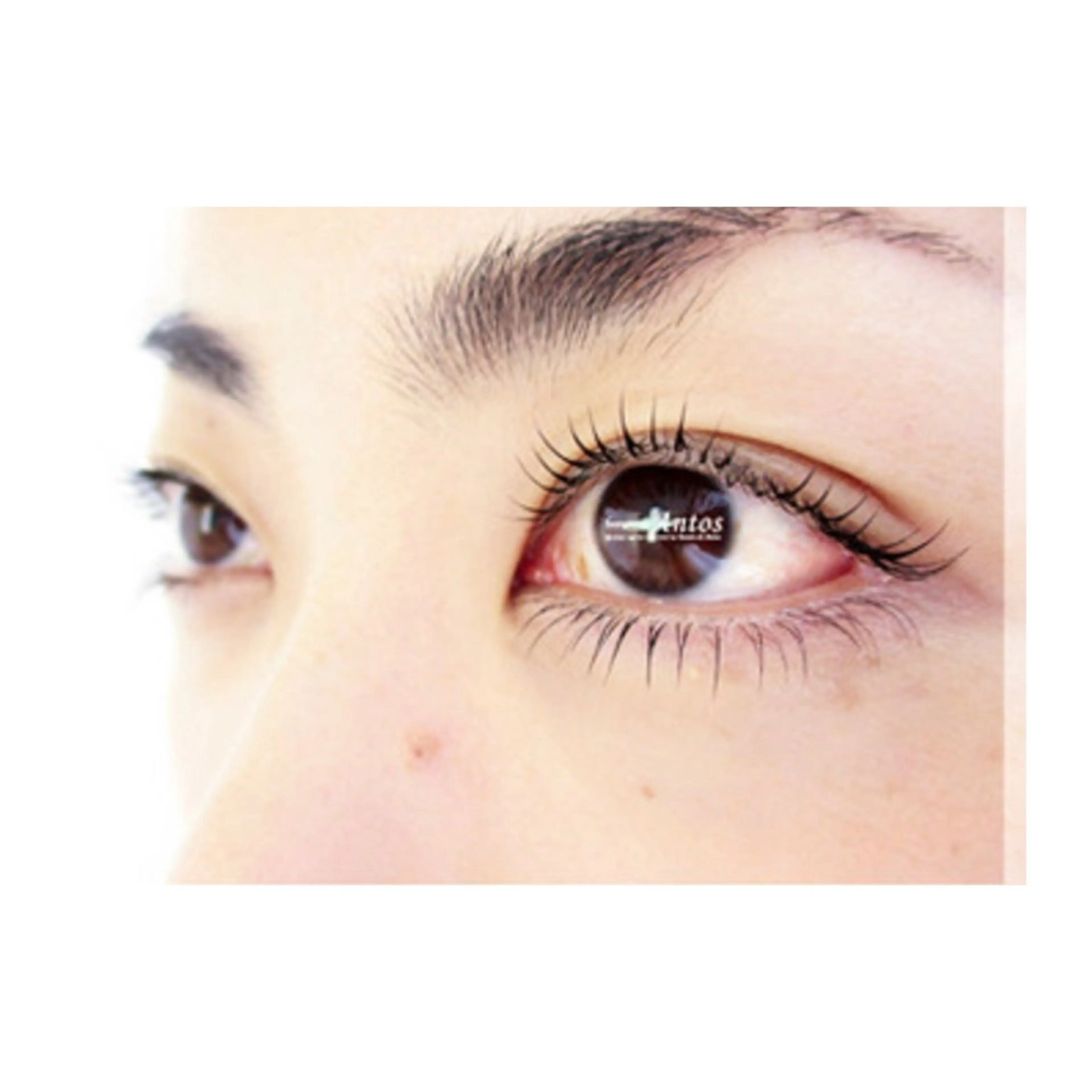 【新規★上まつげパーマ＋下エクステ40本まで】中顔面短縮したい方や下まつげが物足りない方に🎵の写真