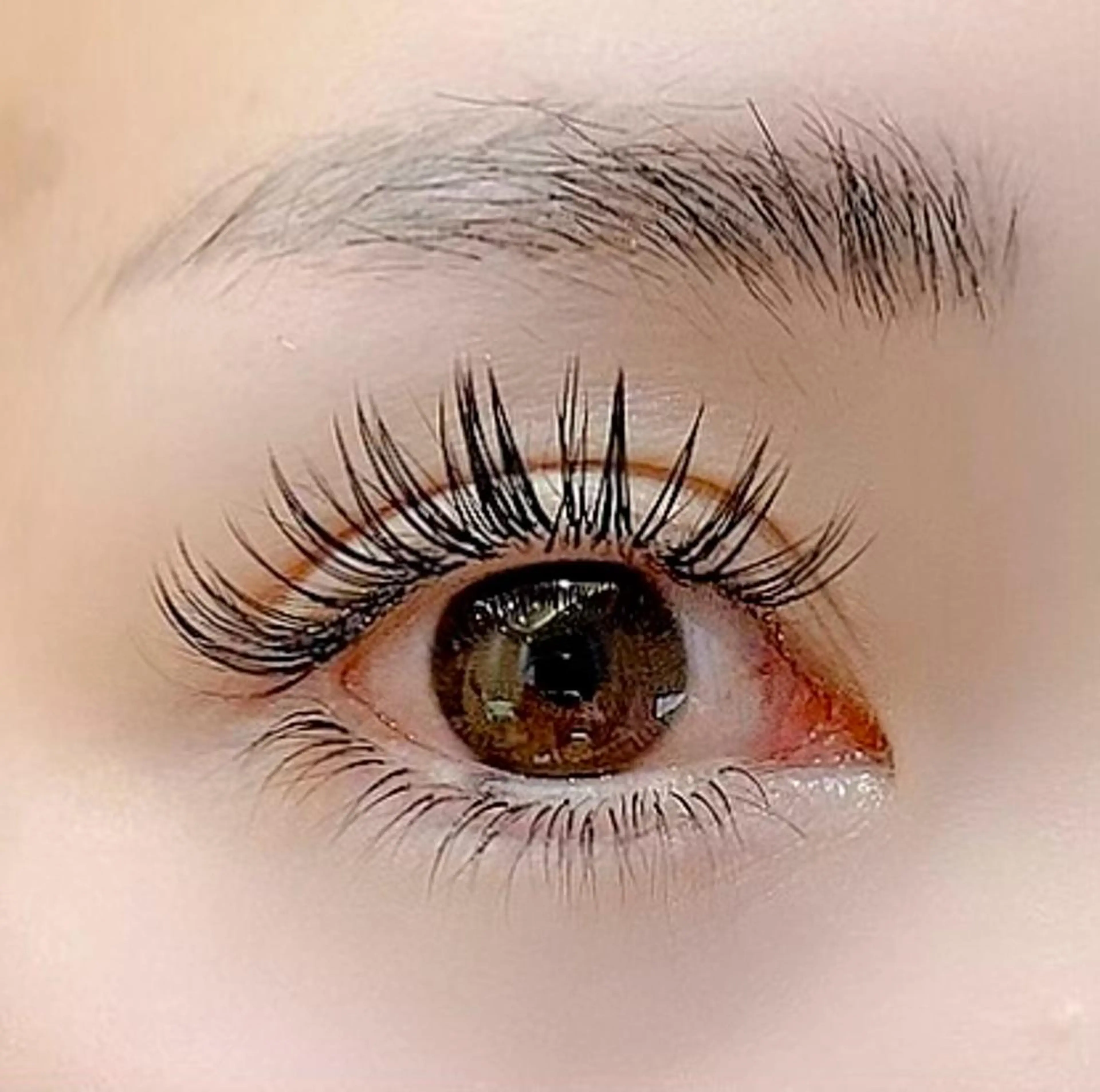 【上下セットメニュー】上フラットラッシュ100本+下セーブル40本まで（両目）の写真