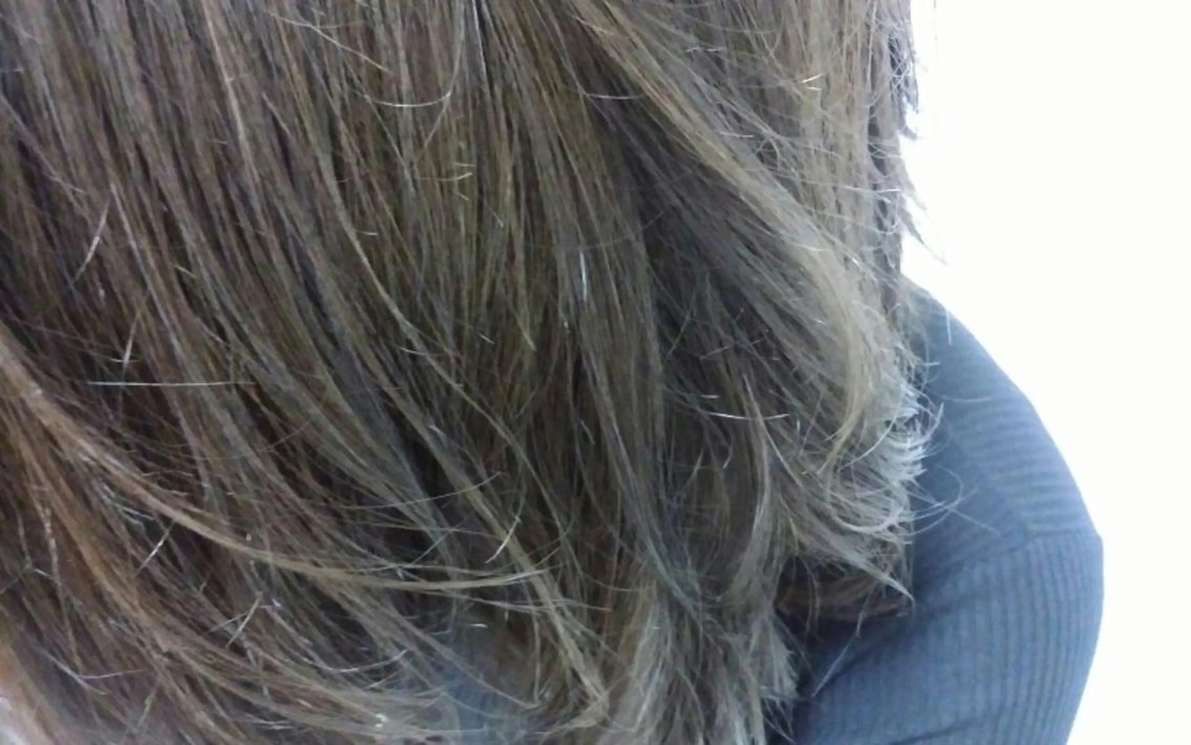 ミディアム アッシュ アッシュグレー ハイライト 渡辺 康行のヘアスタイル