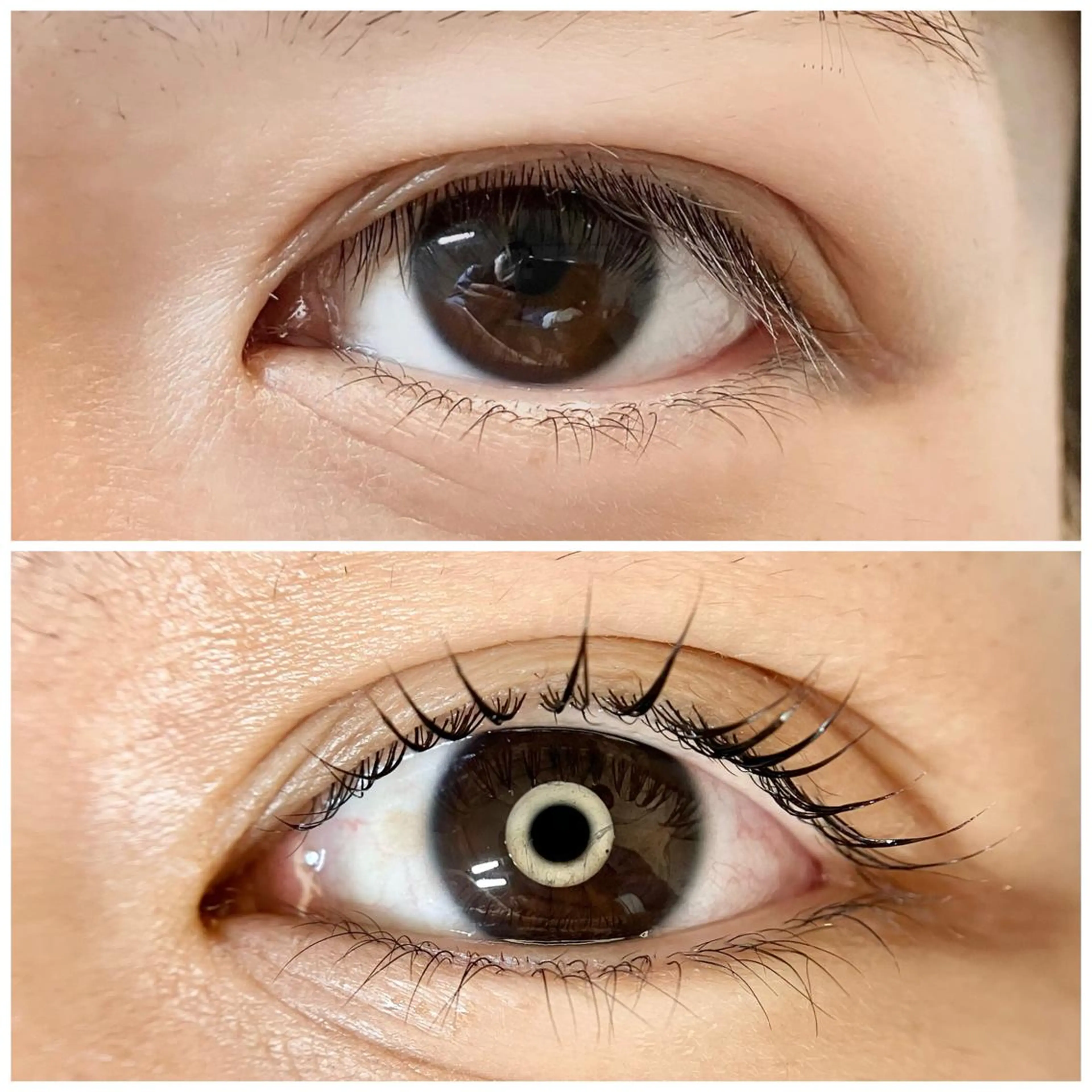 マツエク・マツパ マツパ La Peche momokoのマツエク・マツパデザイン