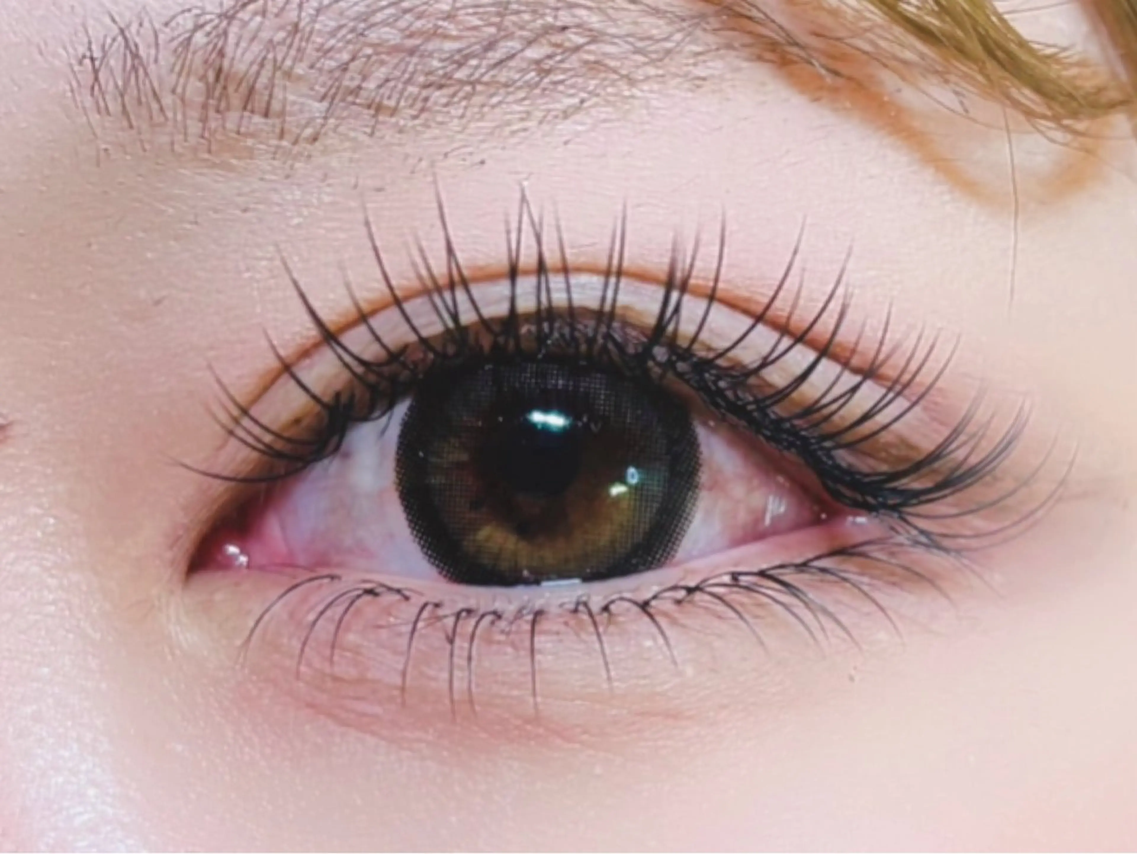 マツエク・マツパ 付け放題 バインドロック 束感まつ毛 フラットラッシュ パリジェンヌラッシュリフト マツエク オーロラ所属・AURORA RINAのマツエク・マツパデザイン