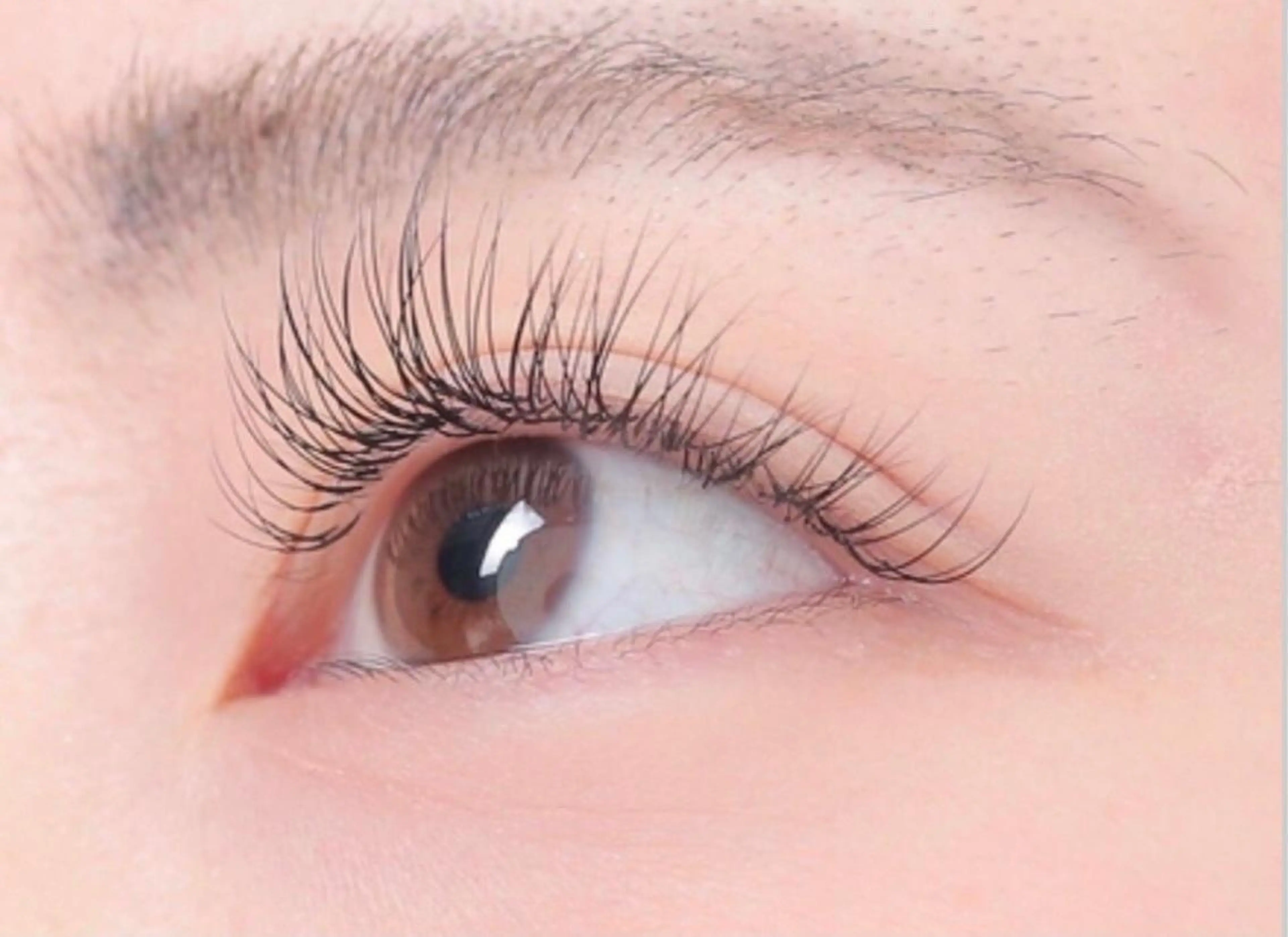 《11時​〜​19時限定》シングルラッシュ🌙ミンク100本まで付け補題🌙オフ、美容成分入りコーティング付き❣️の写真