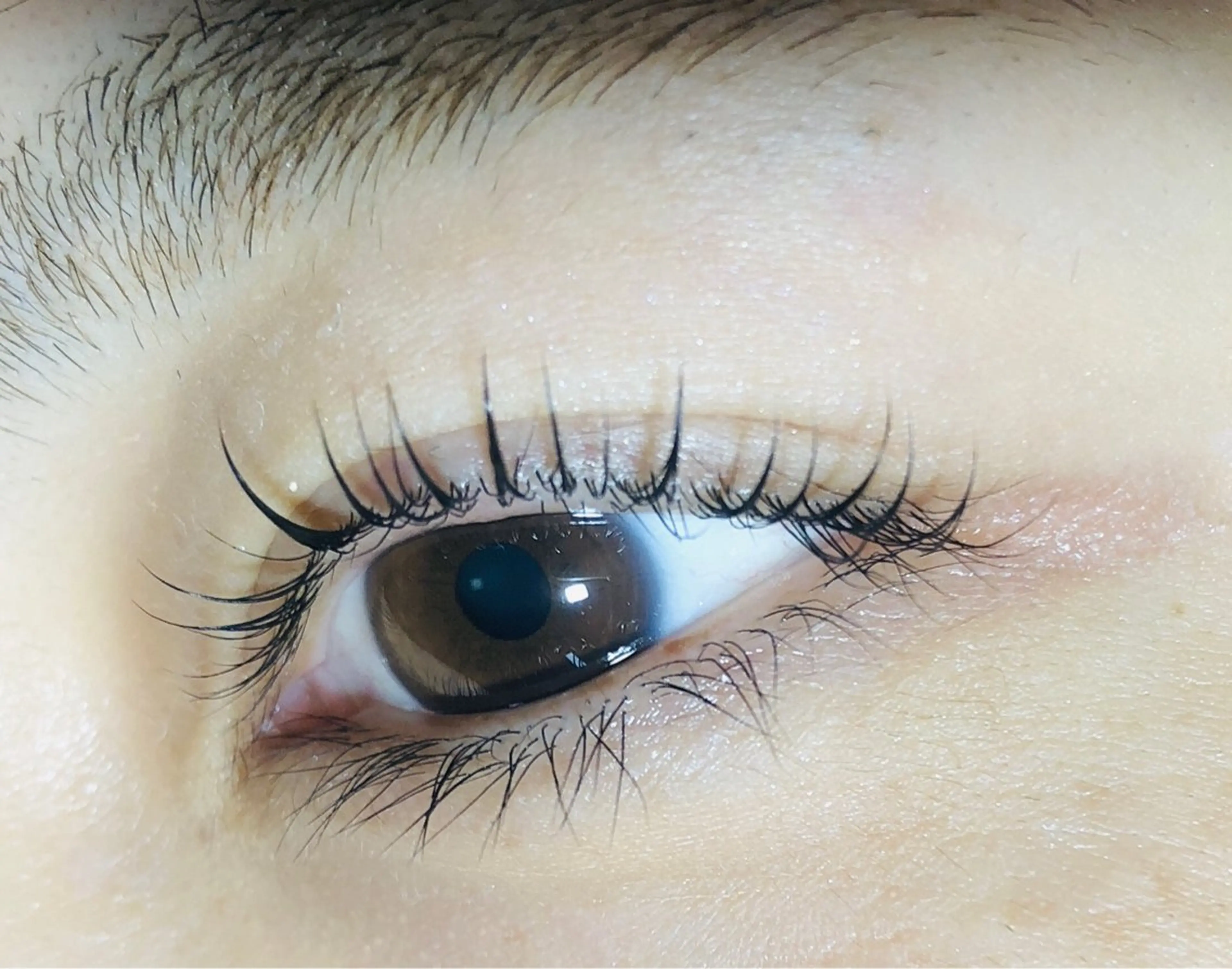 🌸ミニモ学割🧑‍🎓【通常まつげパーマ】※条件有りの写真