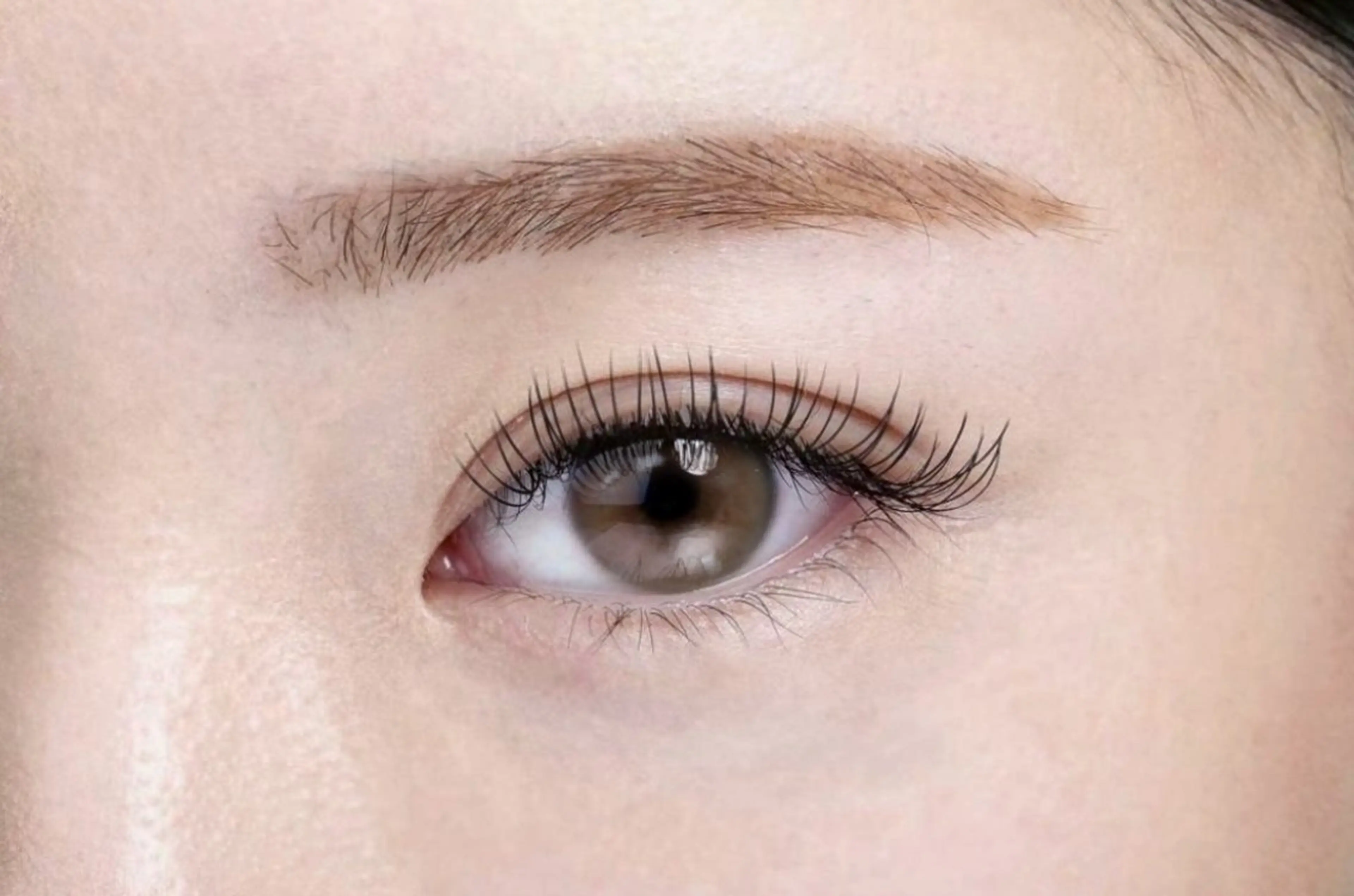 アイブロウ 眉毛ワックス脱毛 🩰Misaki🦢 🪞のマツエク・マツパデザイン