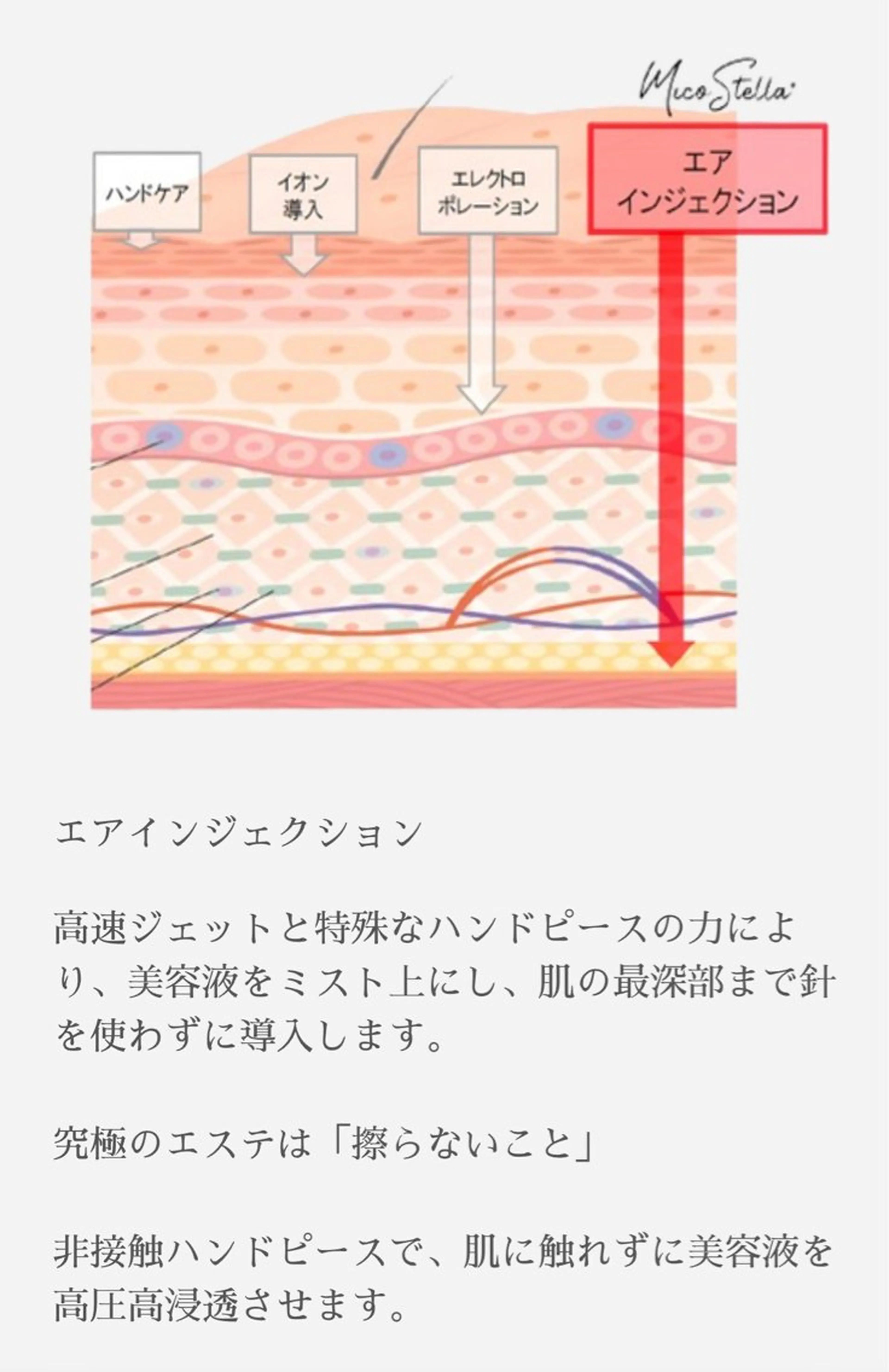 エステ Moana【モアナ】 HIROのエステ・リラクイメージ