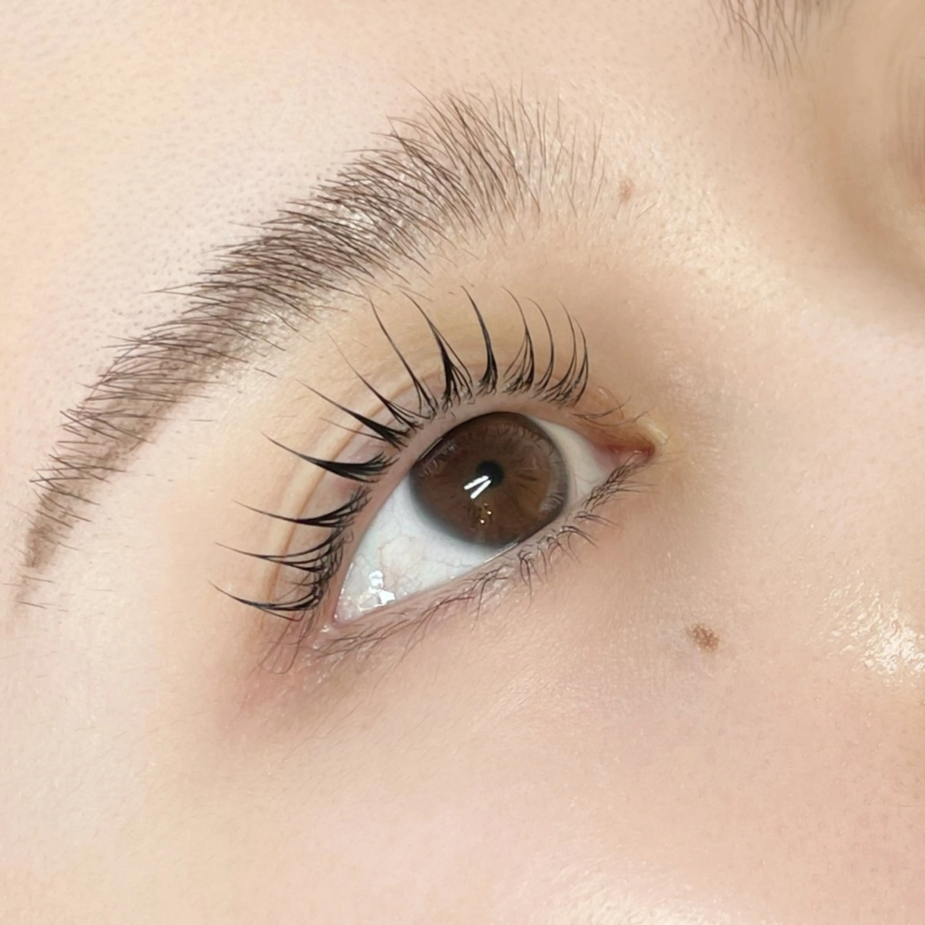 マツエク・マツパ times salon 栄所属・arisa*･ﾟ eye/肌質改善の眉毛・アイブロウイメージ