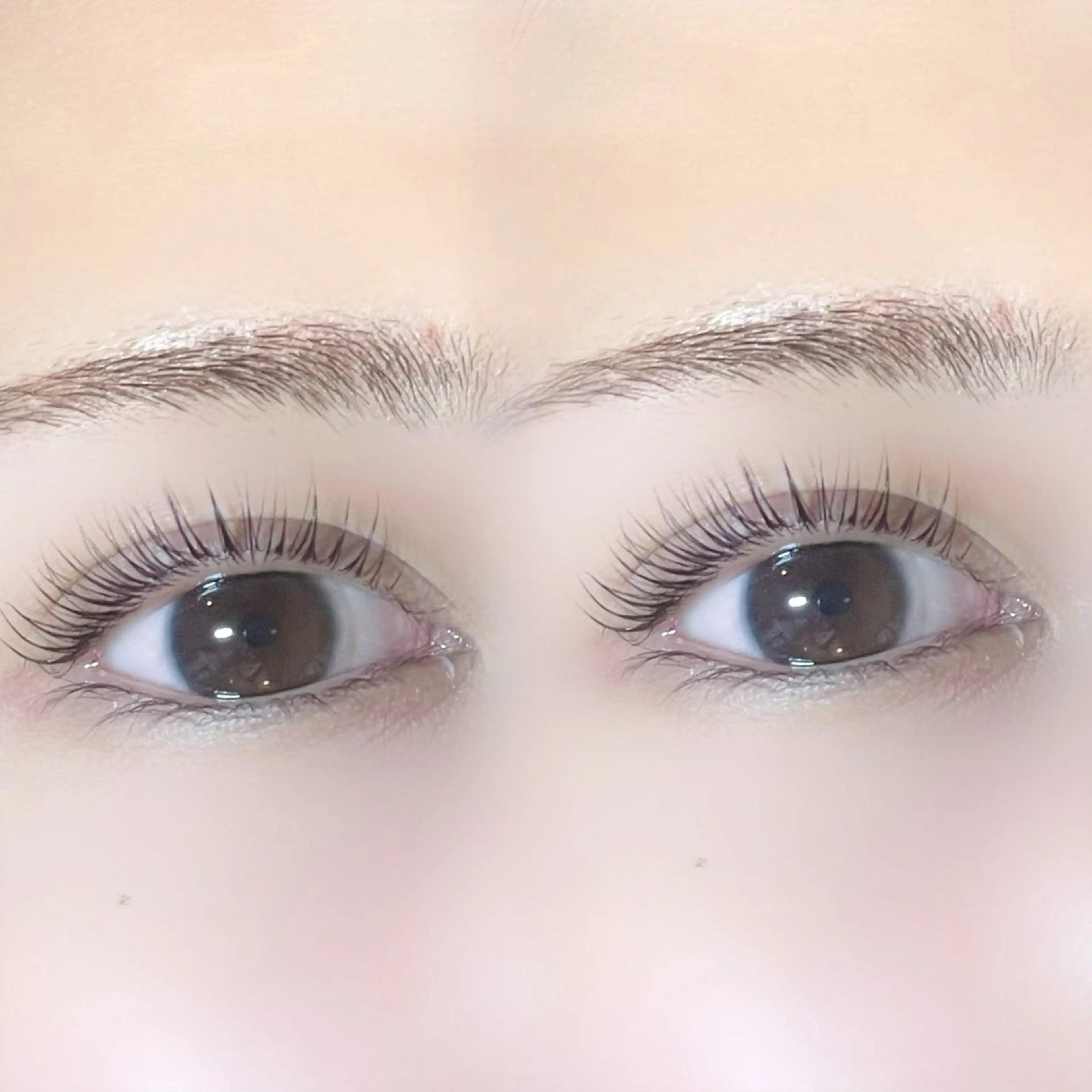 マツエク・マツパ パリジェンヌラッシュリフト Le Cheriss.所属・Risa《まつ毛パー マ.アイブロウ》のマツエク・マツパデザイン