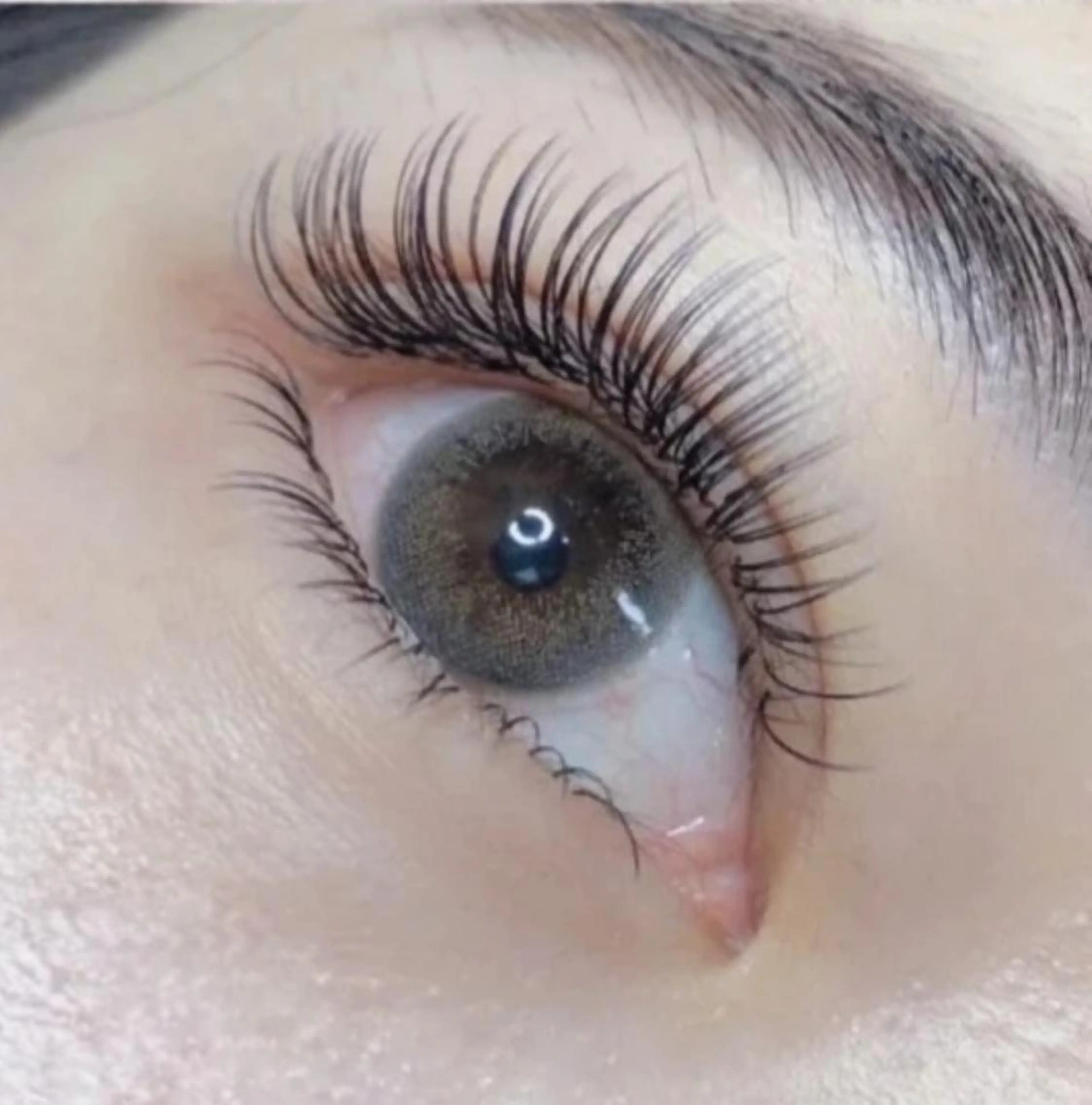 『濃さ&持ち』バインドロック120束　（シングル170本）　初回オフ込の写真