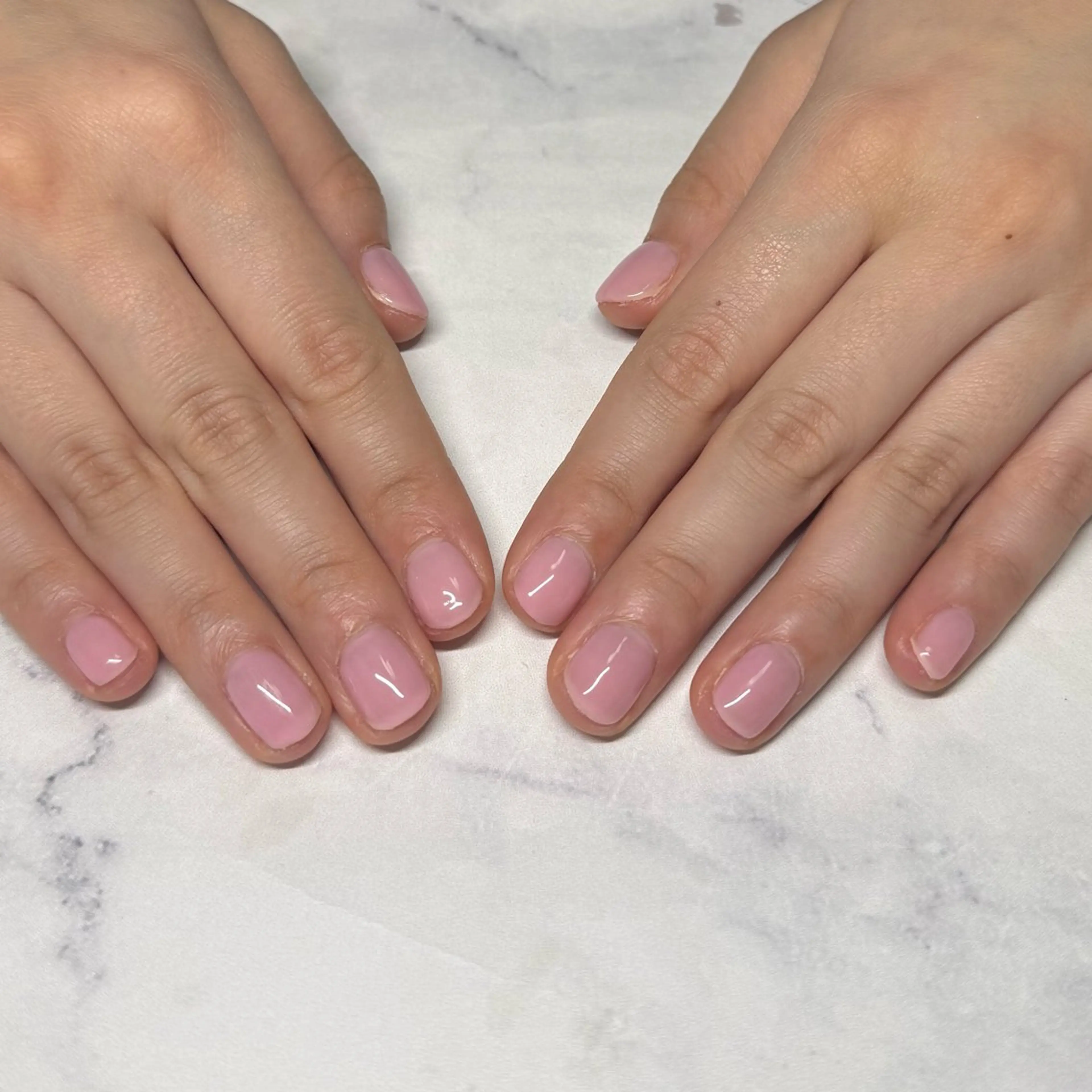 オフなし限定ワンカラーの写真