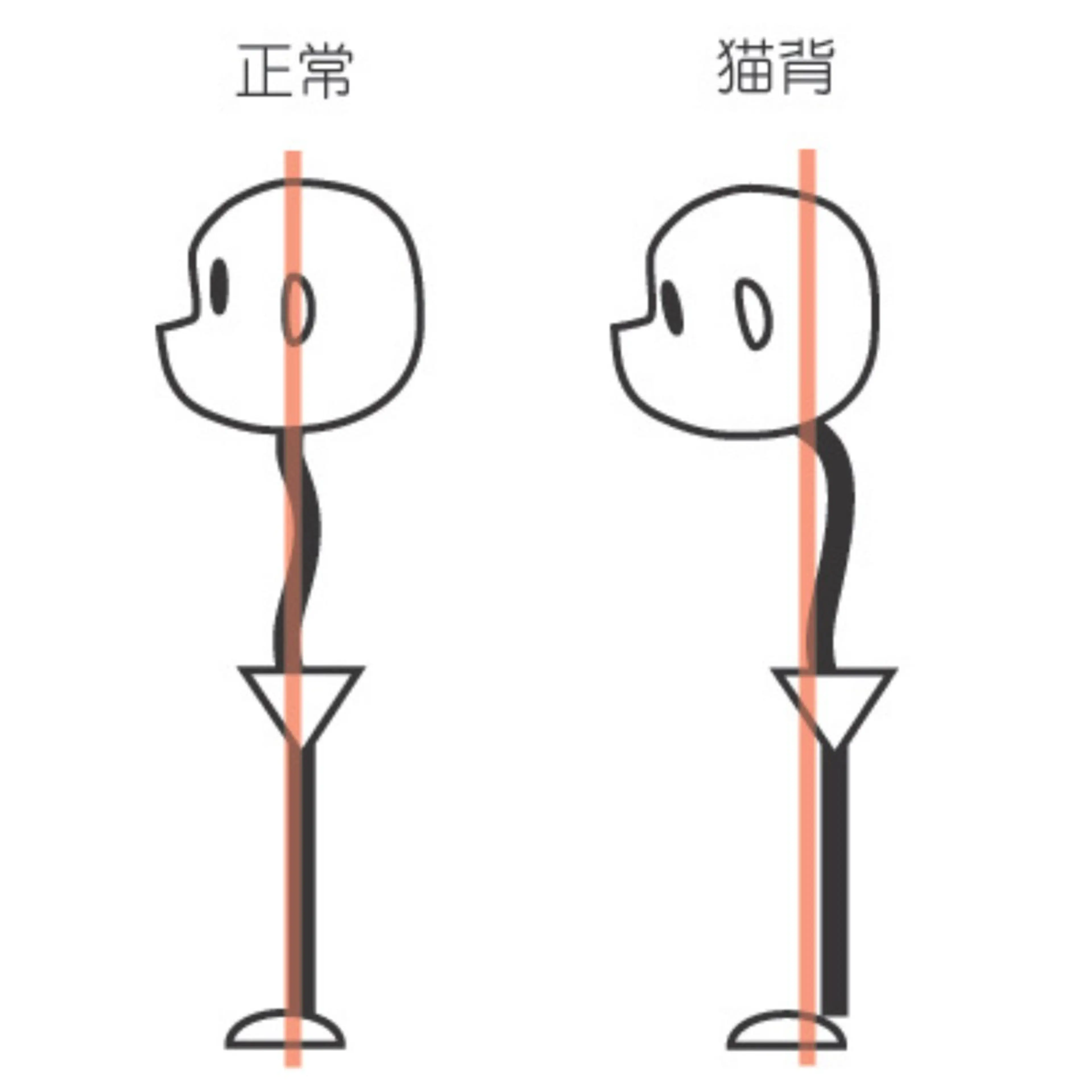 姿勢改善サロン ミュカのエステ・リラクイメージ