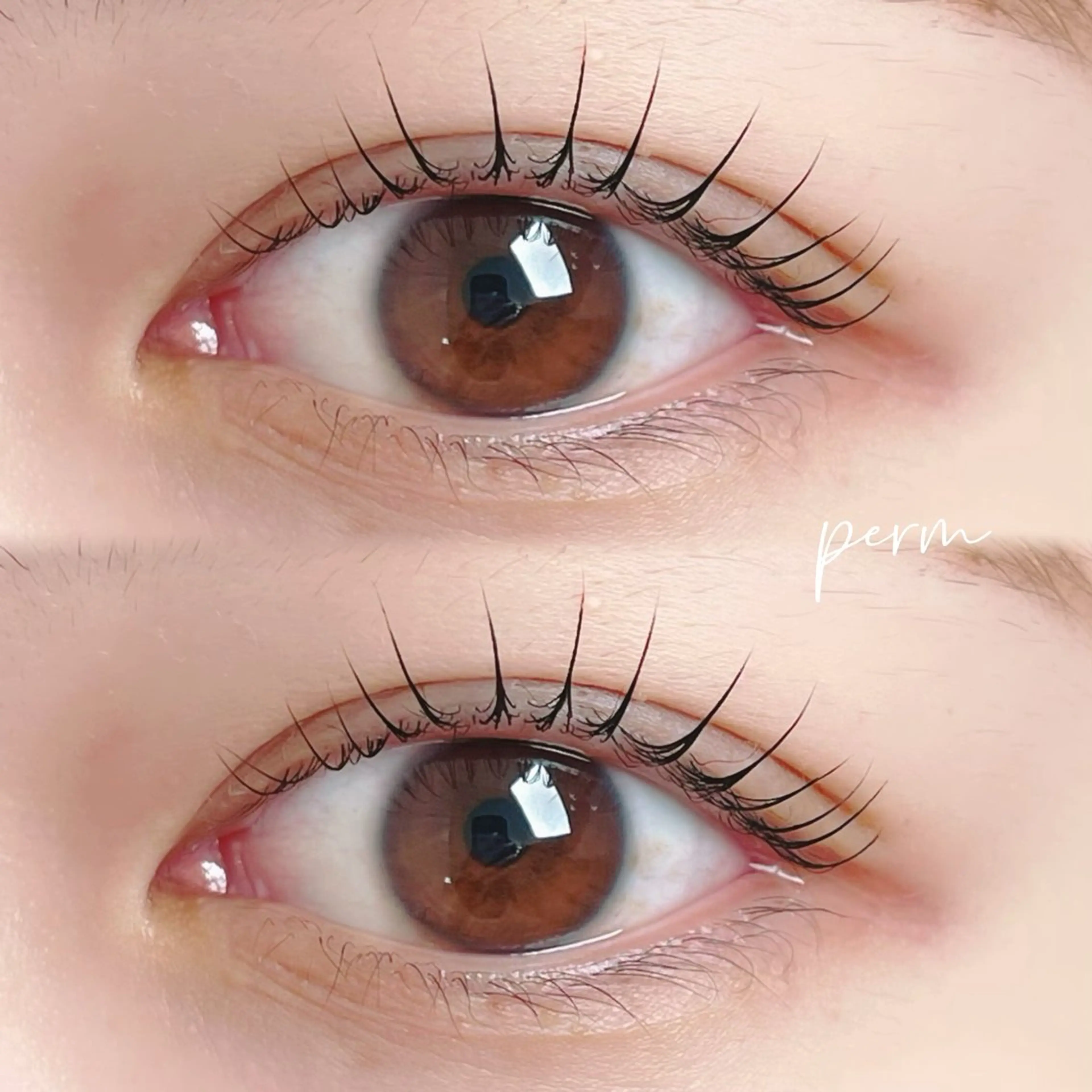 マツエク・マツパ muse momoのマツエク・マツパデザイン