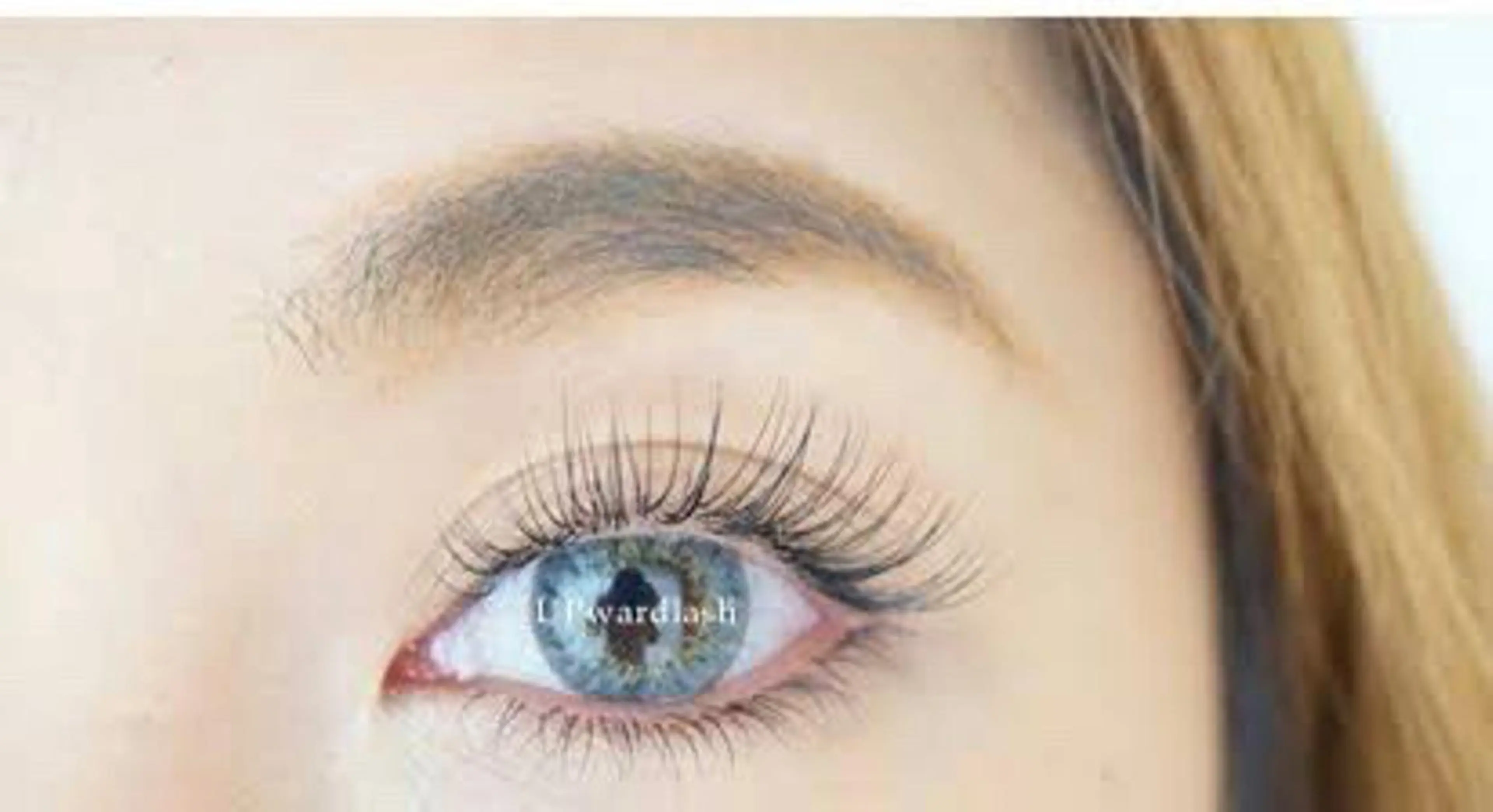 【新技法アップワードラッシュ120本】の写真