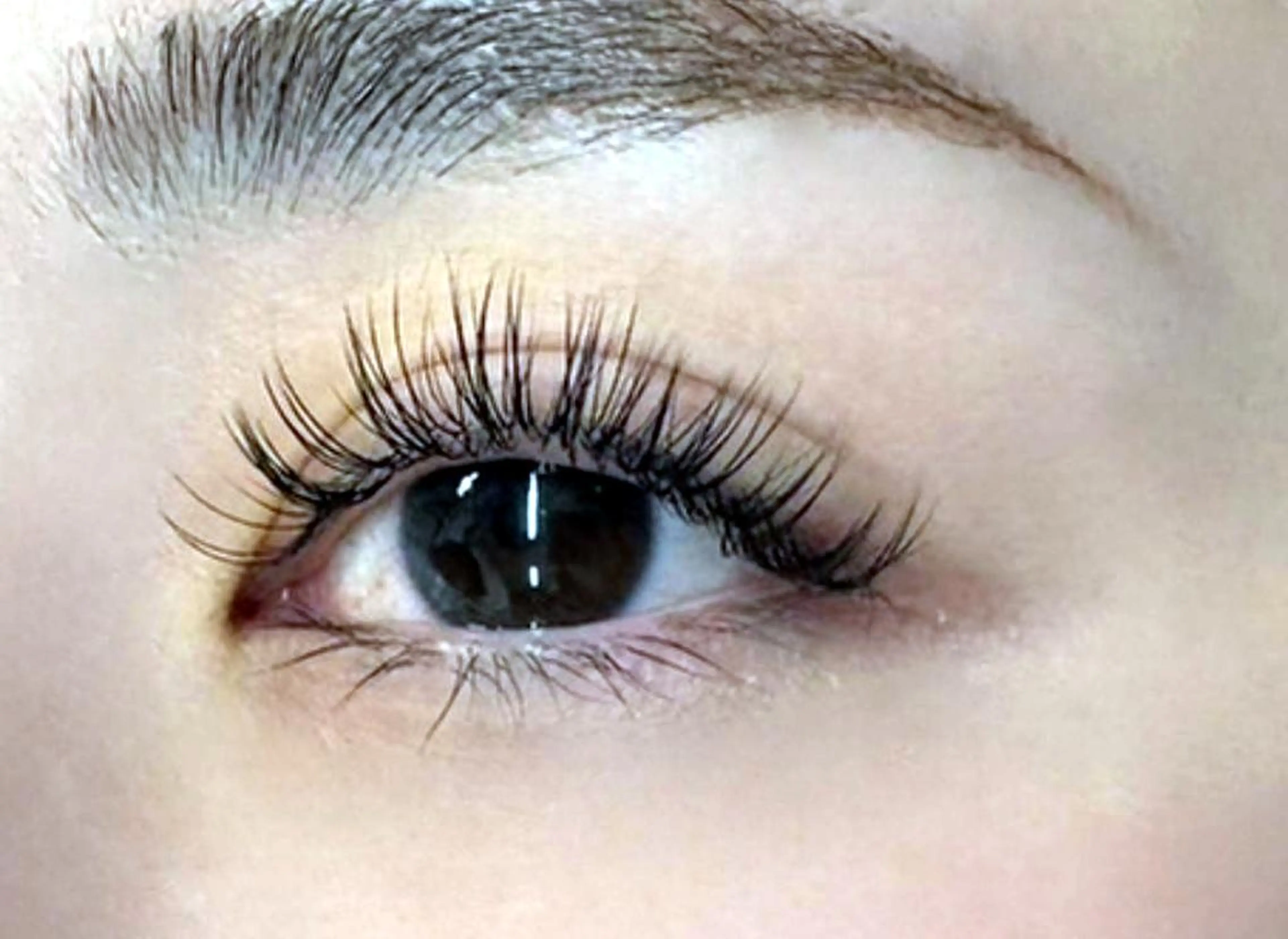 まつ毛エクステ👀(フラットラッシュ)80本 🌟付け足しにも!の写真