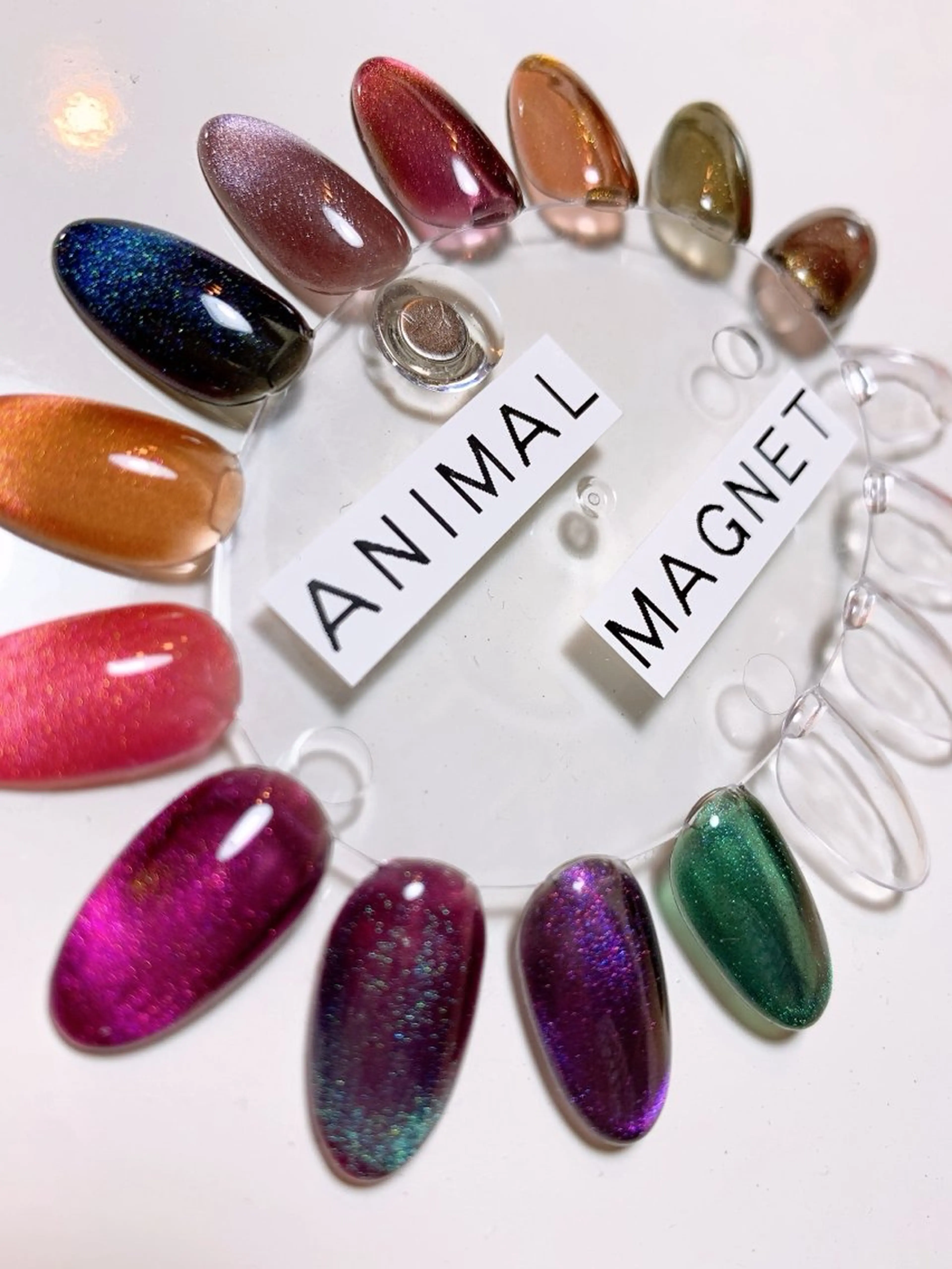 【メンズ必見!!】ANIMAL MAGNET【全12色入荷】※オフ込み。補足説明ご熟読の上、ご予約願います。の写真