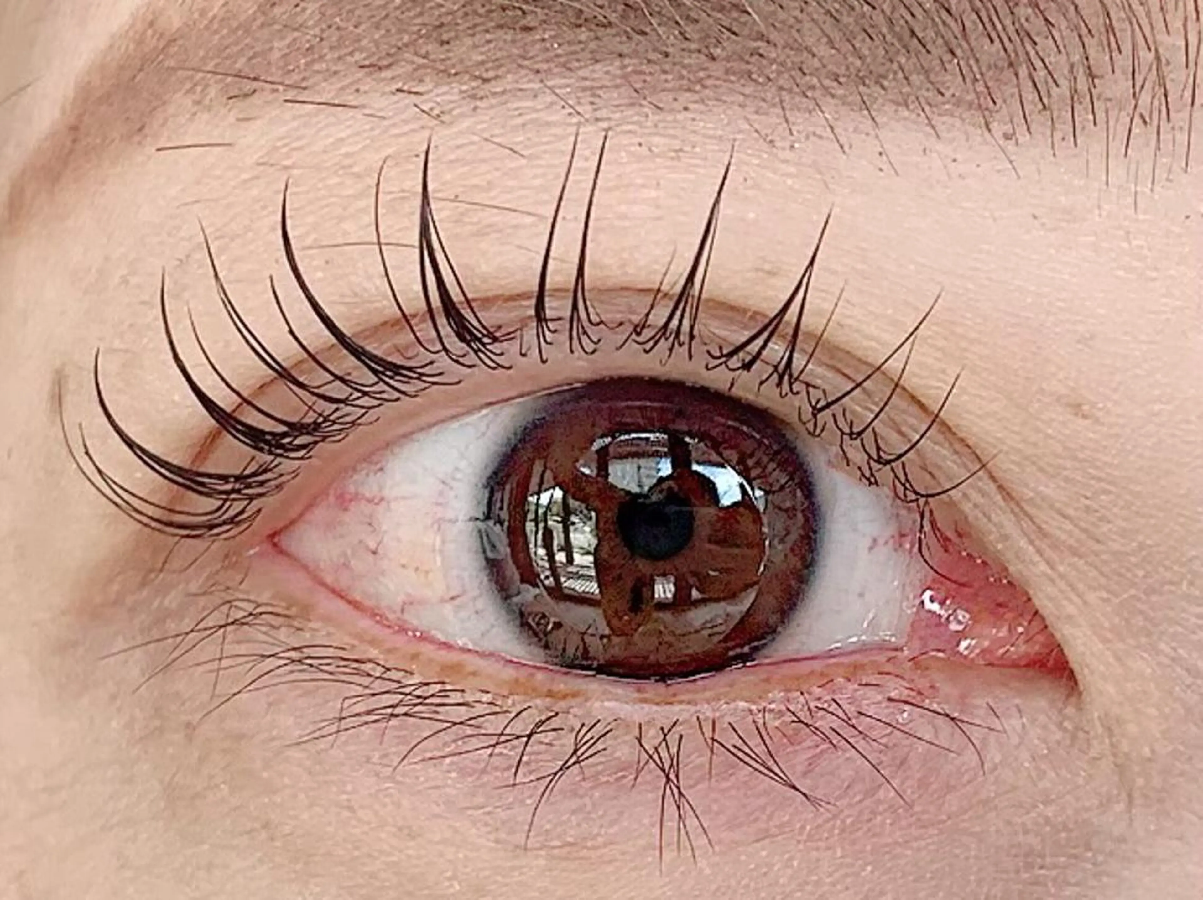 【ご新規様限定】まつげカール上のみ🎀エクステオフ無し🤍の写真