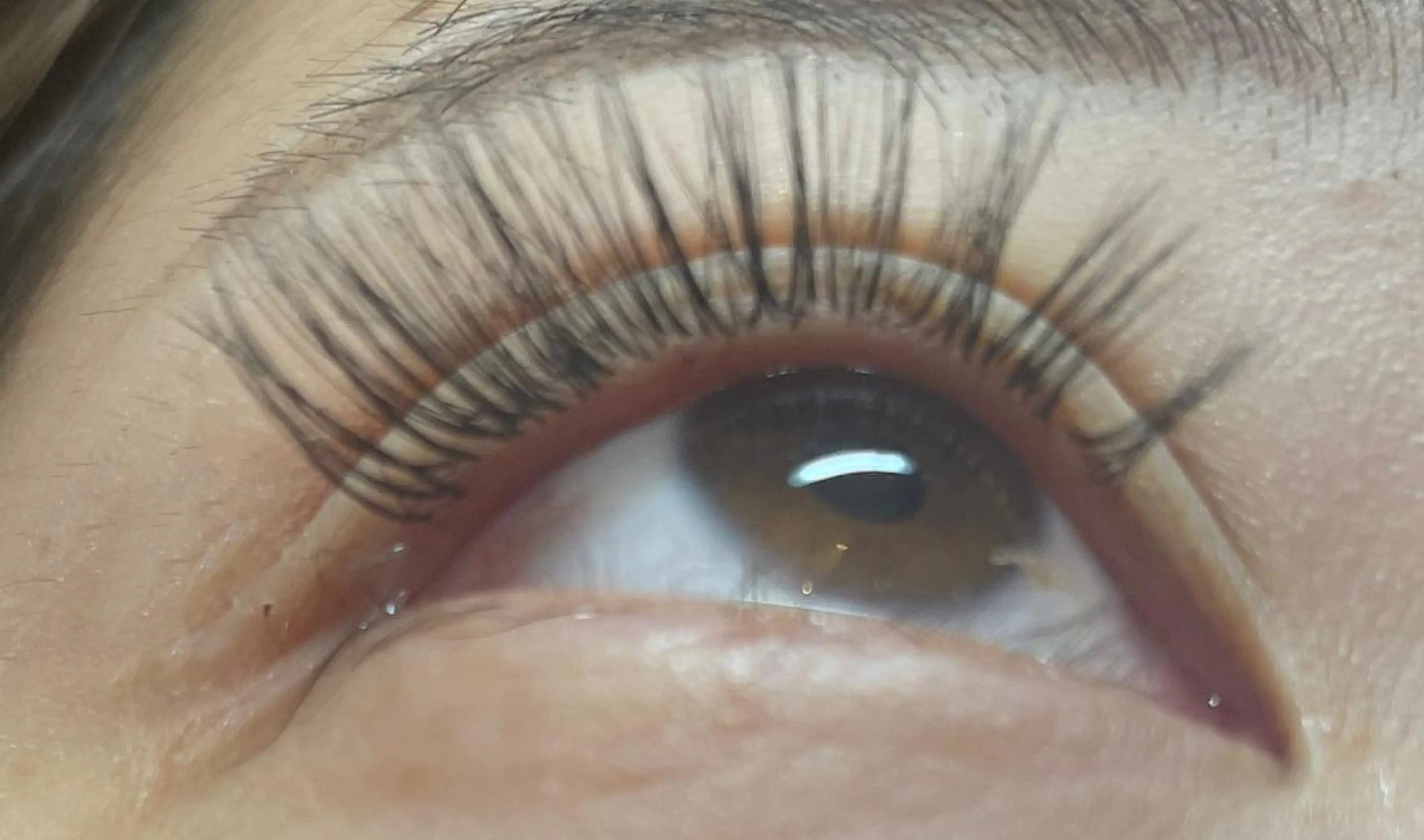 マツエク・マツパ 目尻長め princess 森 碧海のマツエク・マツパデザイン